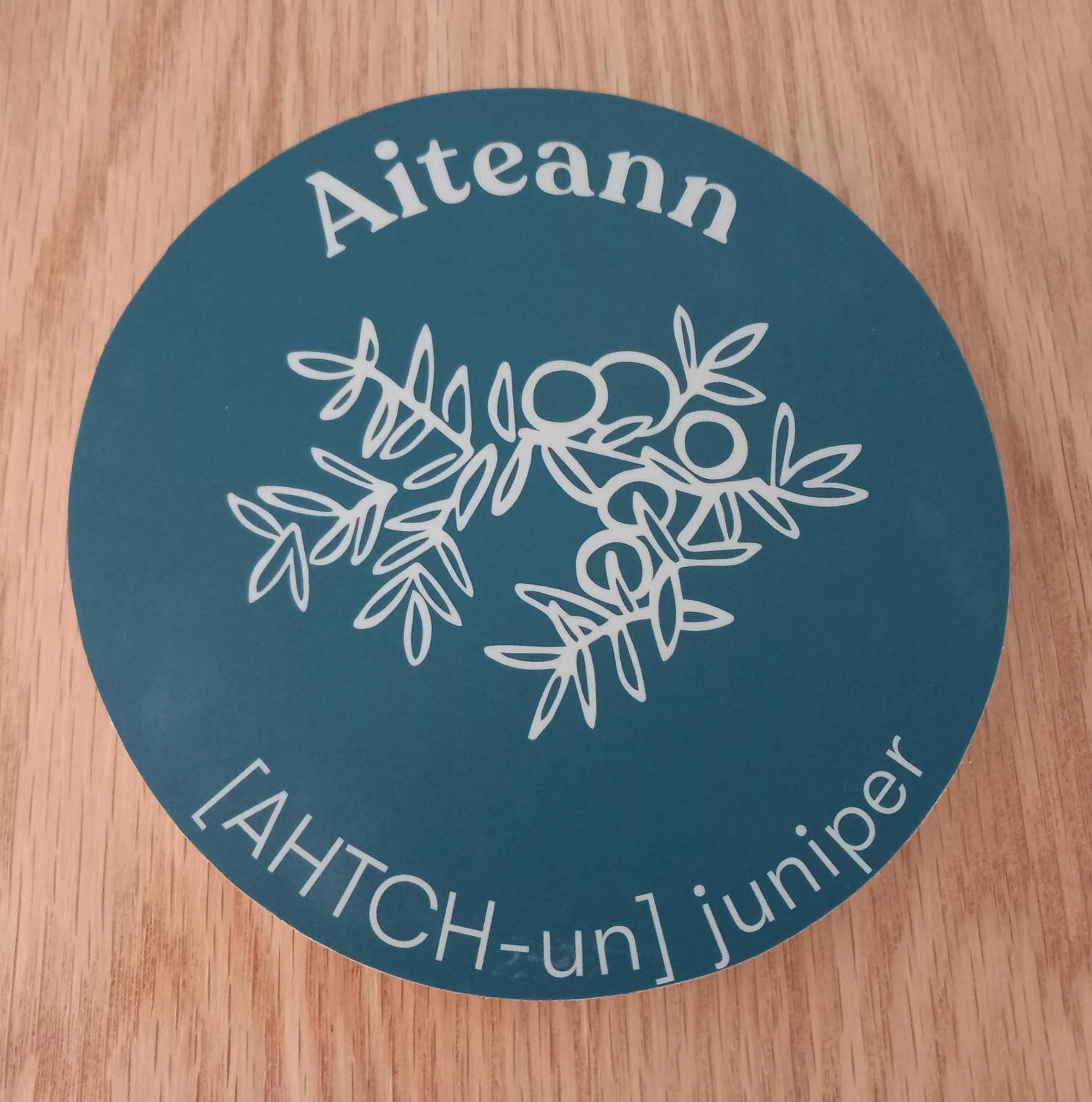 An Spiris Accommodation at Dundreggan Rewilding Centre