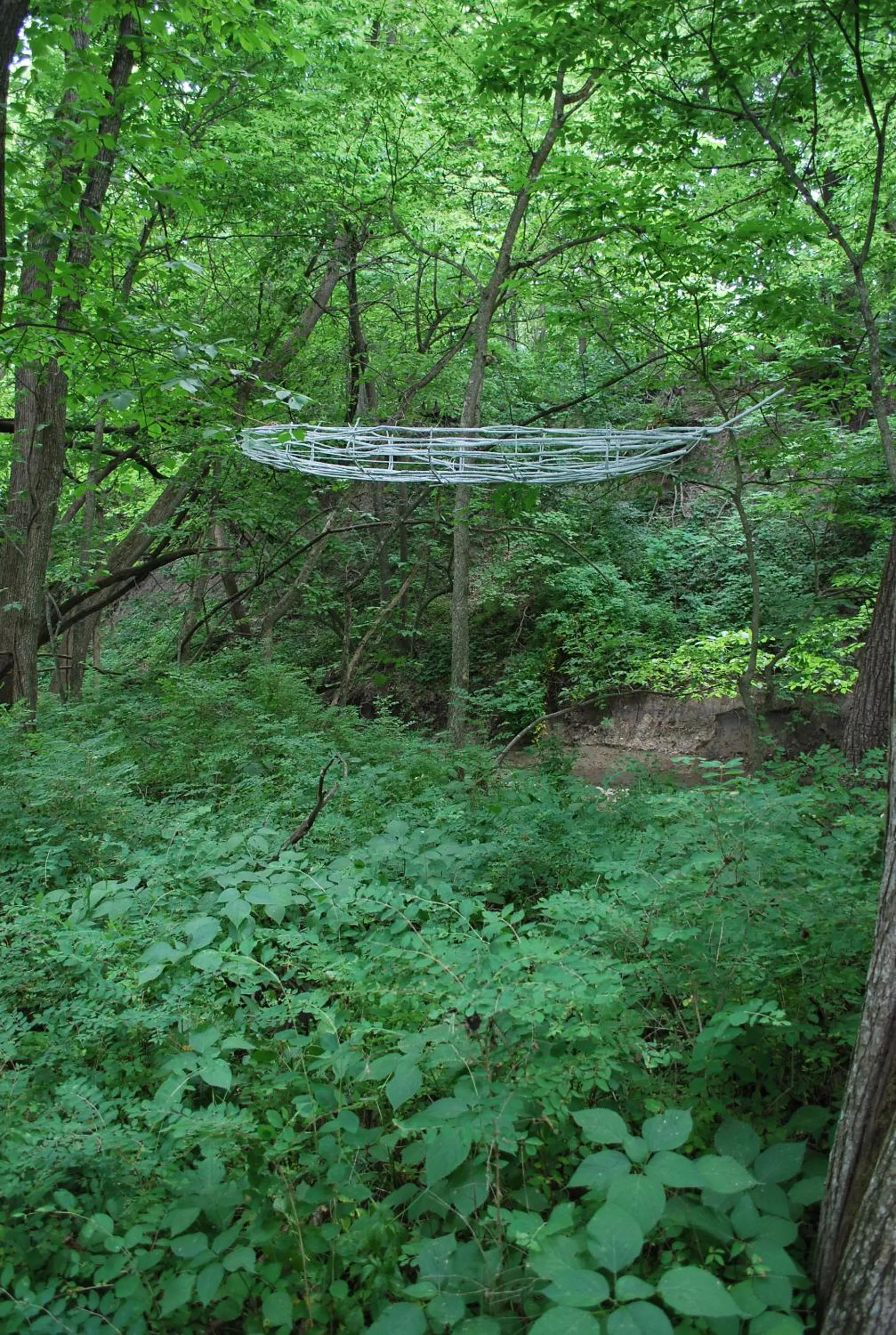 Area and facilities in Lied Lodge at Arbor Day Farm