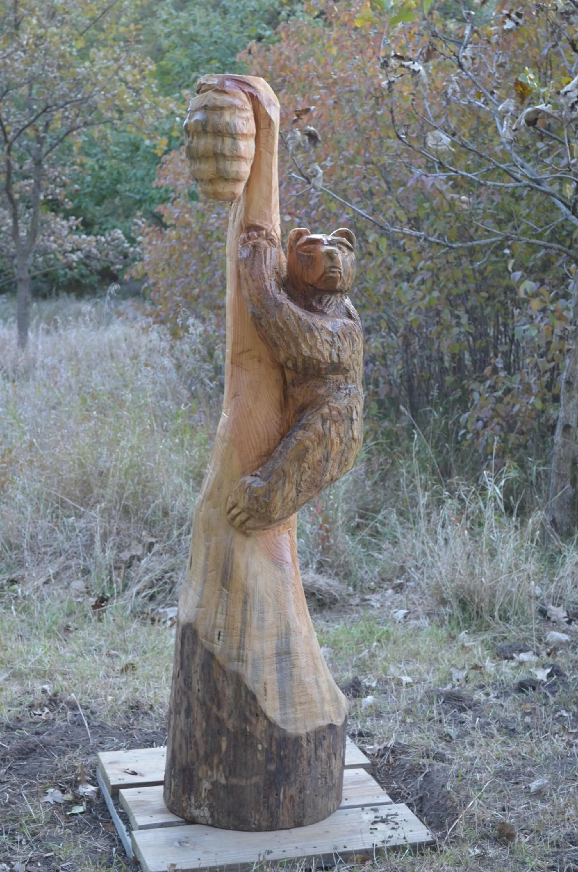Area and facilities in Lied Lodge at Arbor Day Farm