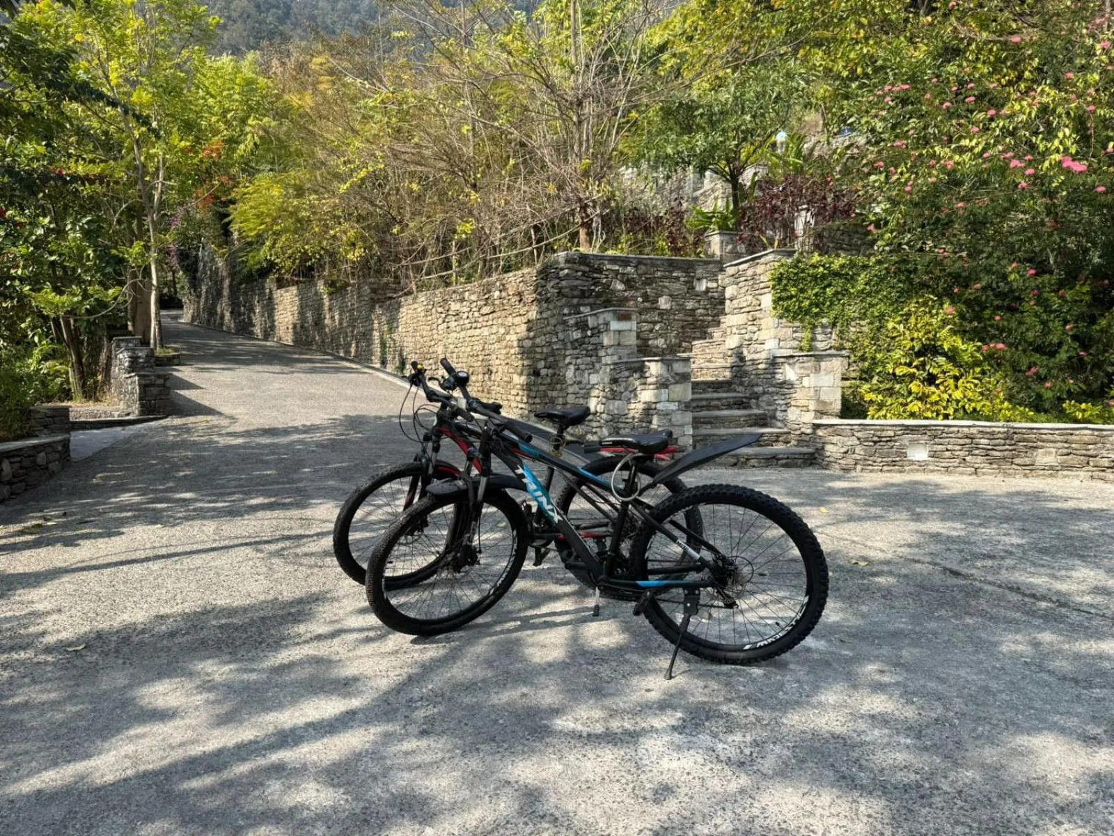 Cycling in Dorje's Resort and Spa