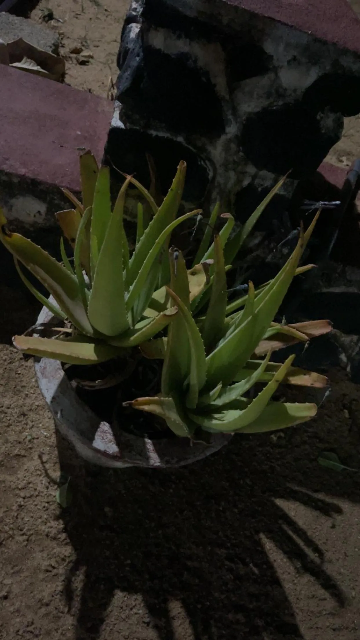 Anandas Beach Resort