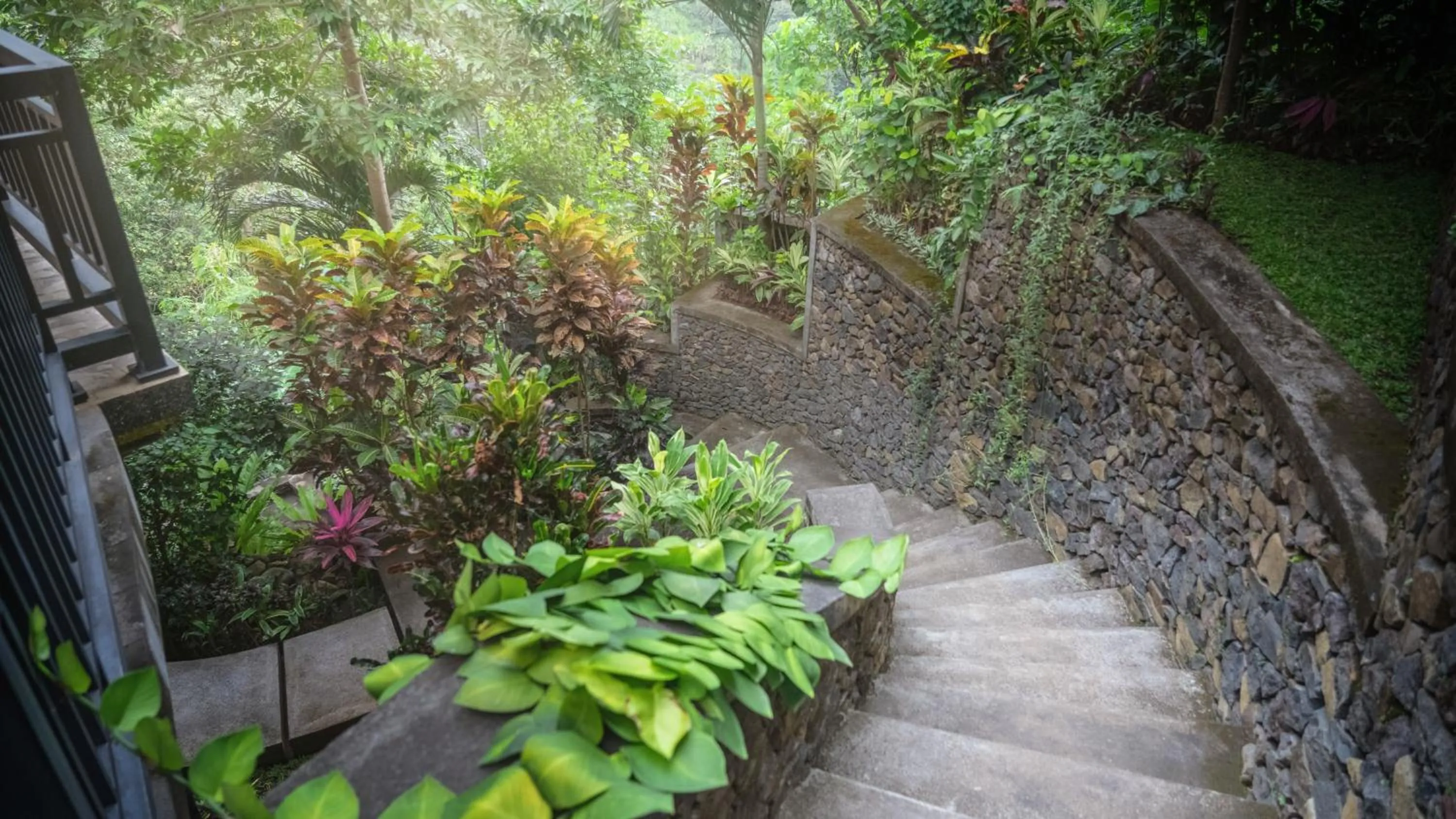 Garden in Villa Selonding Batu