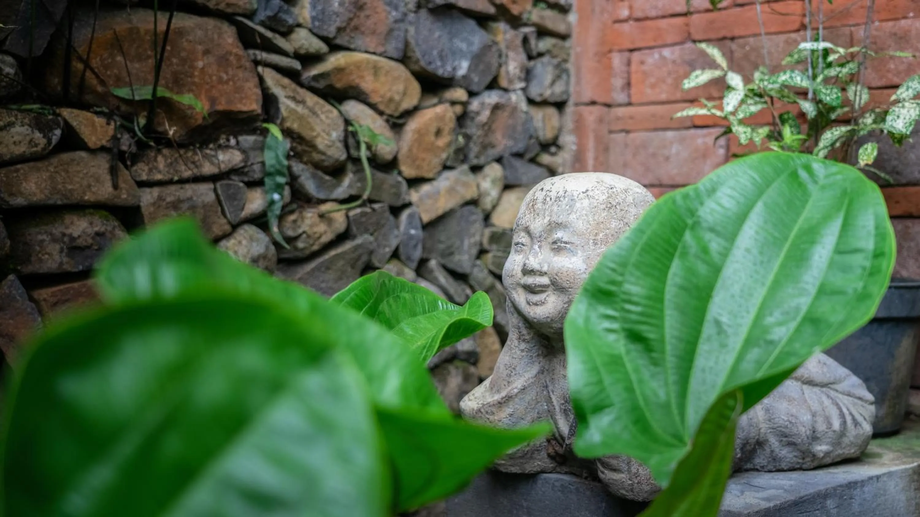 Garden in Villa Selonding Batu