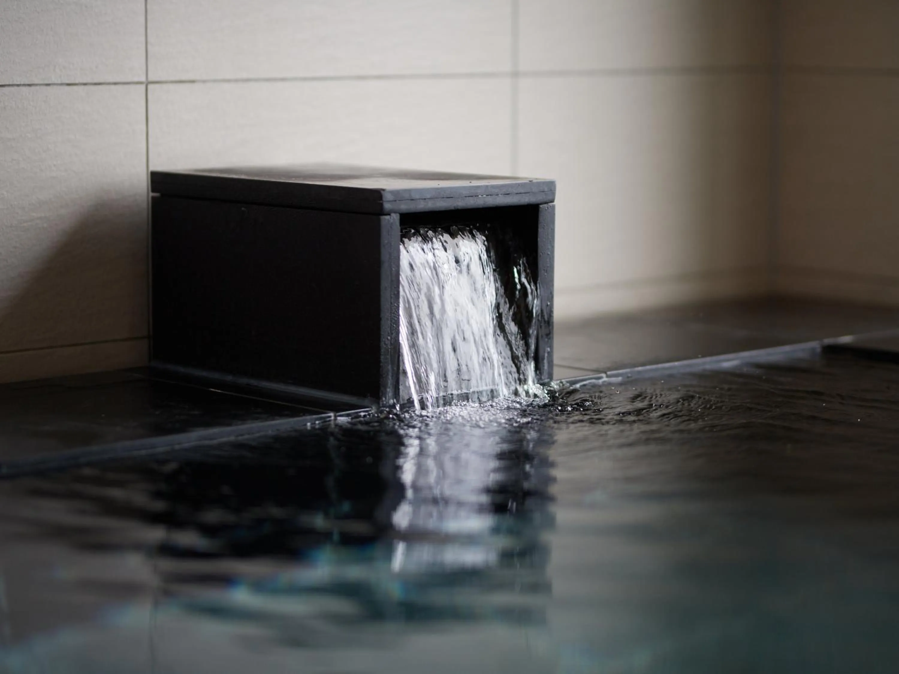 Hot Spring Bath in Chateraise Lodge Atami