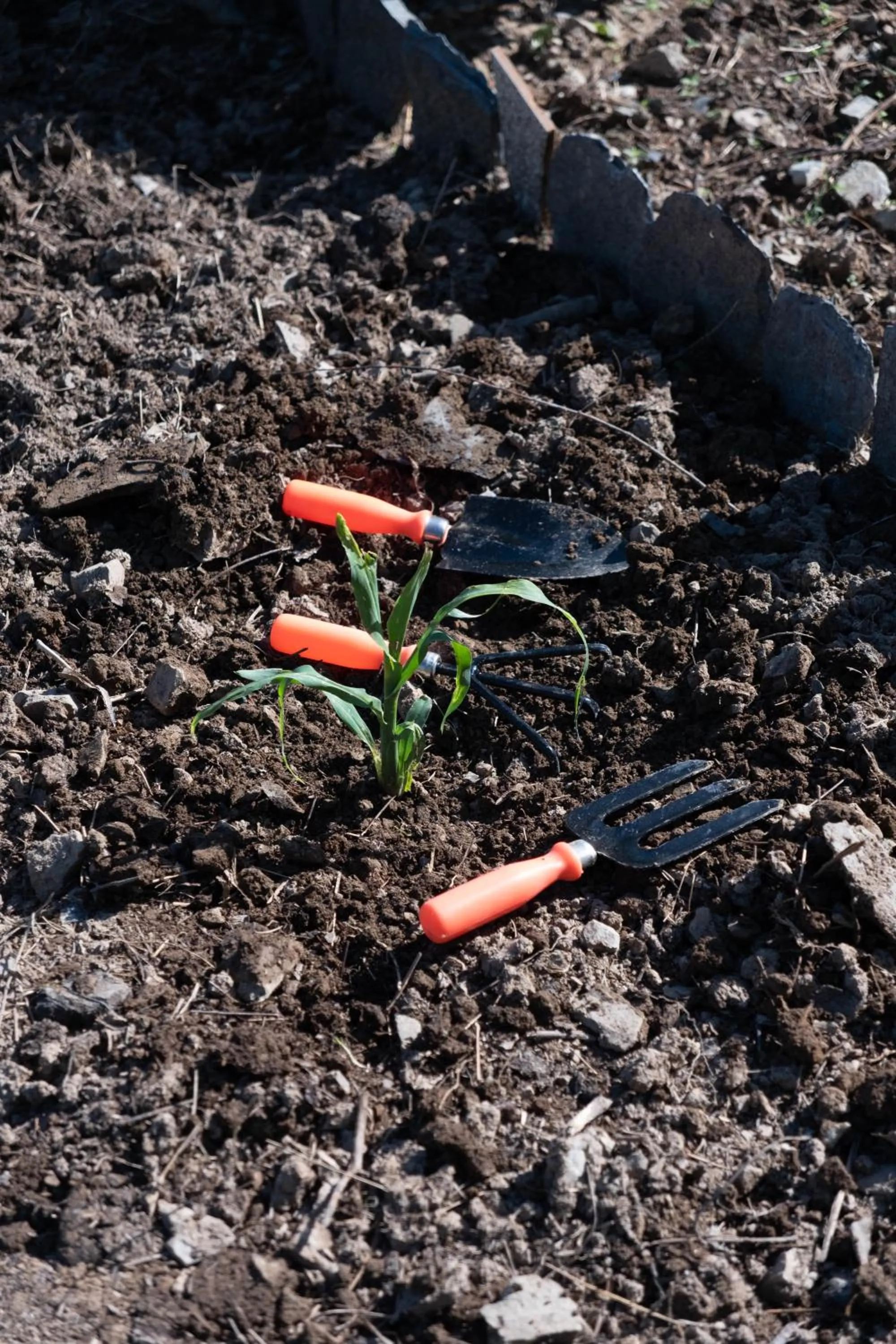 Minimalist : An Eco Farmstay