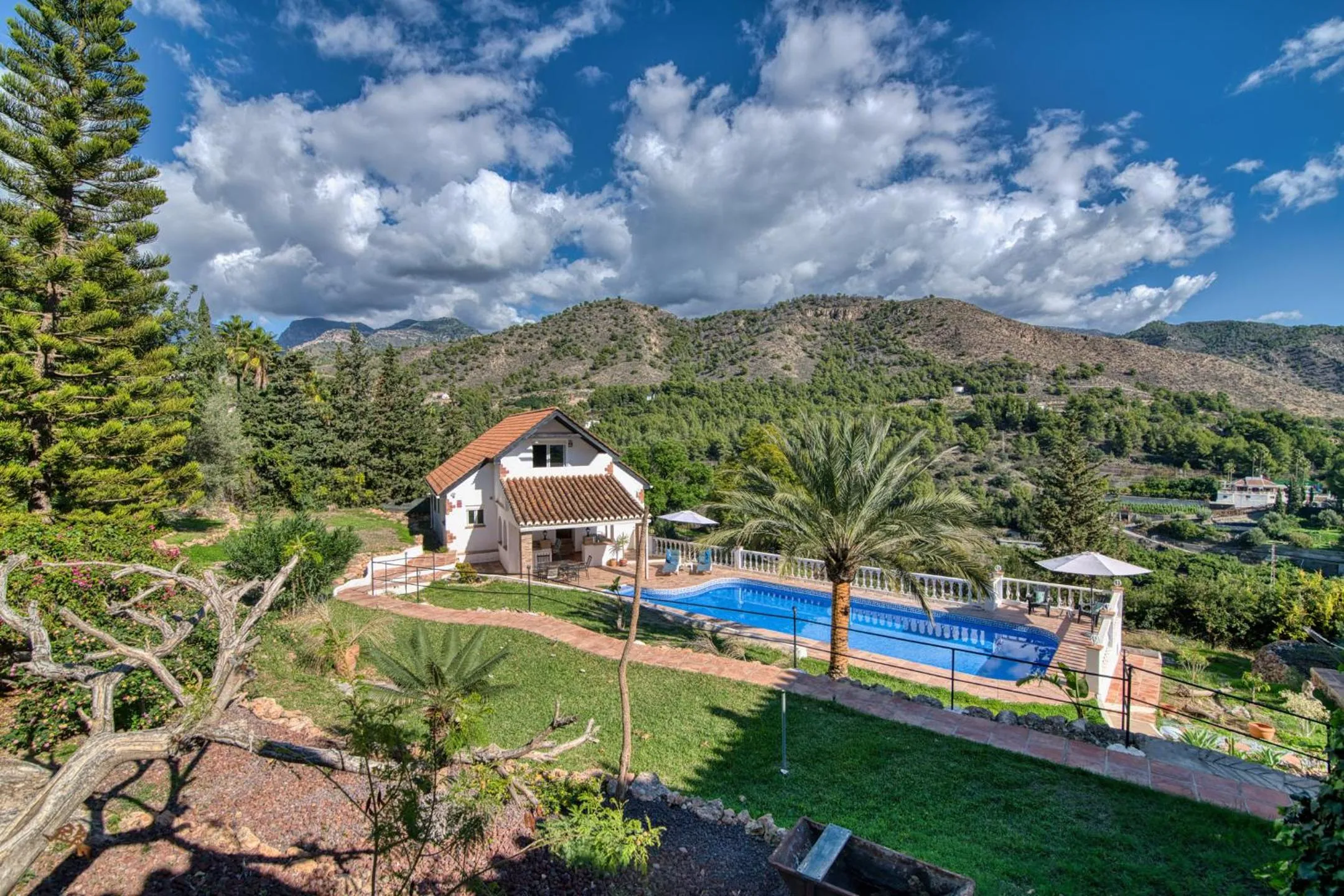 Mountain view in Villa Morera Bed & Breakfast