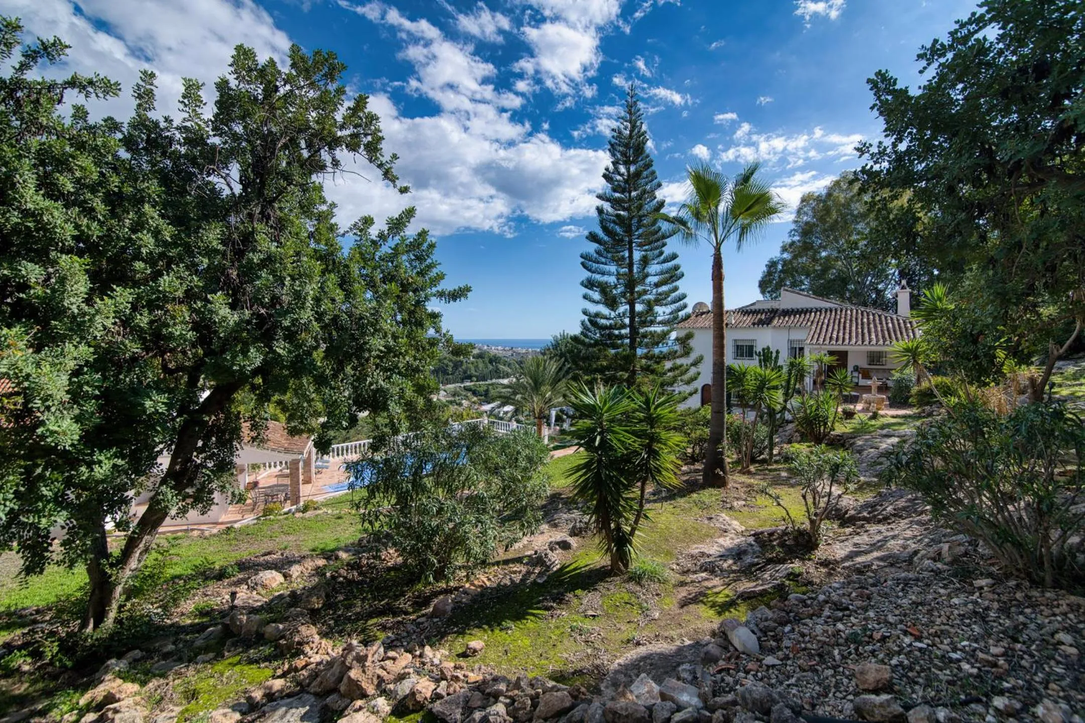 Garden in Villa Morera Bed & Breakfast