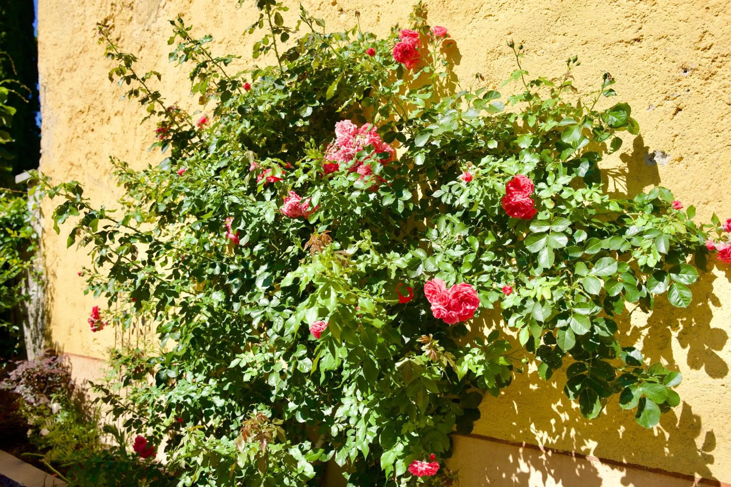 Other in Hotel Diffuso Il Portichetto sulla collina a Vezio Perledo