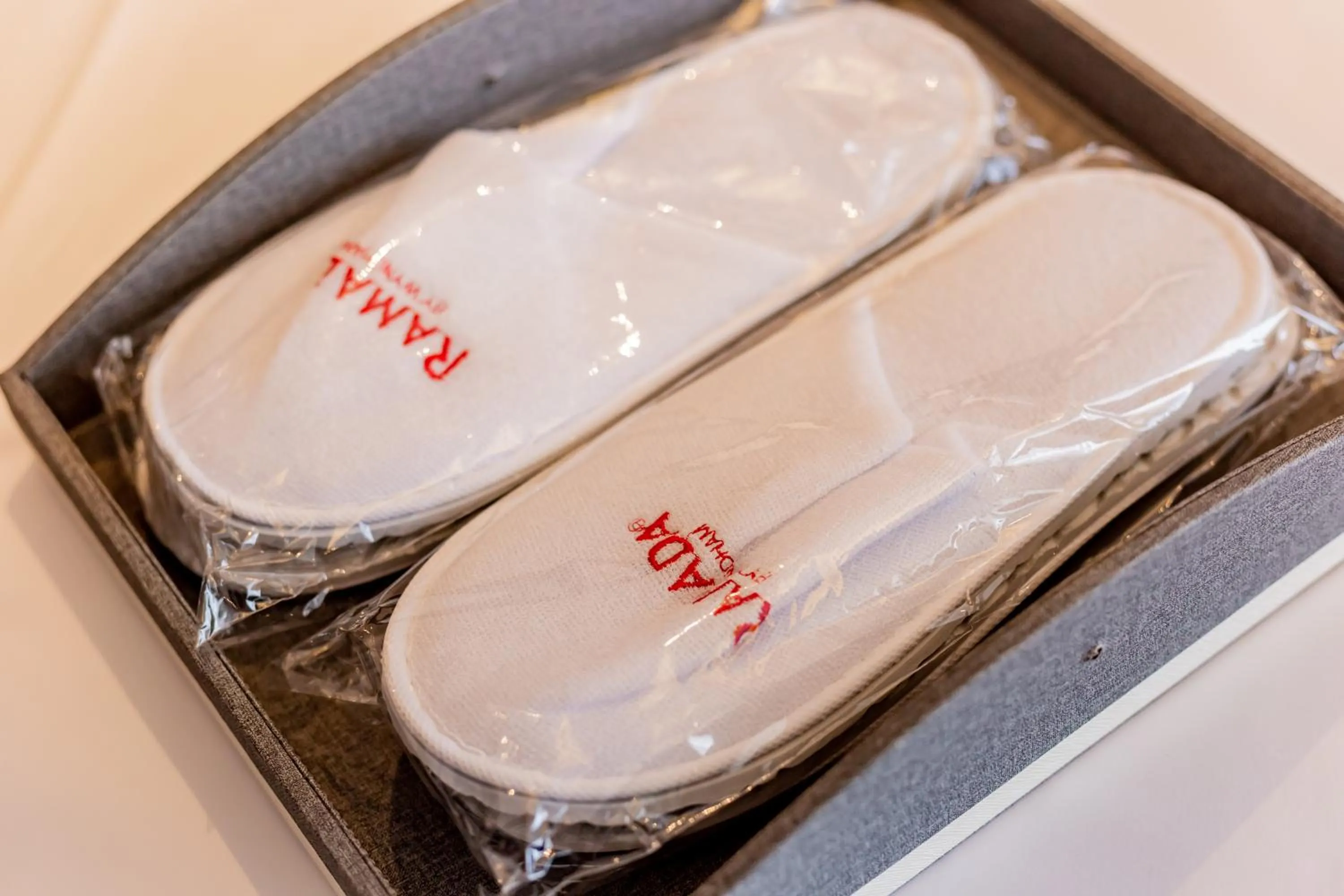 Property building in Ramada by Wyndham Bayannur