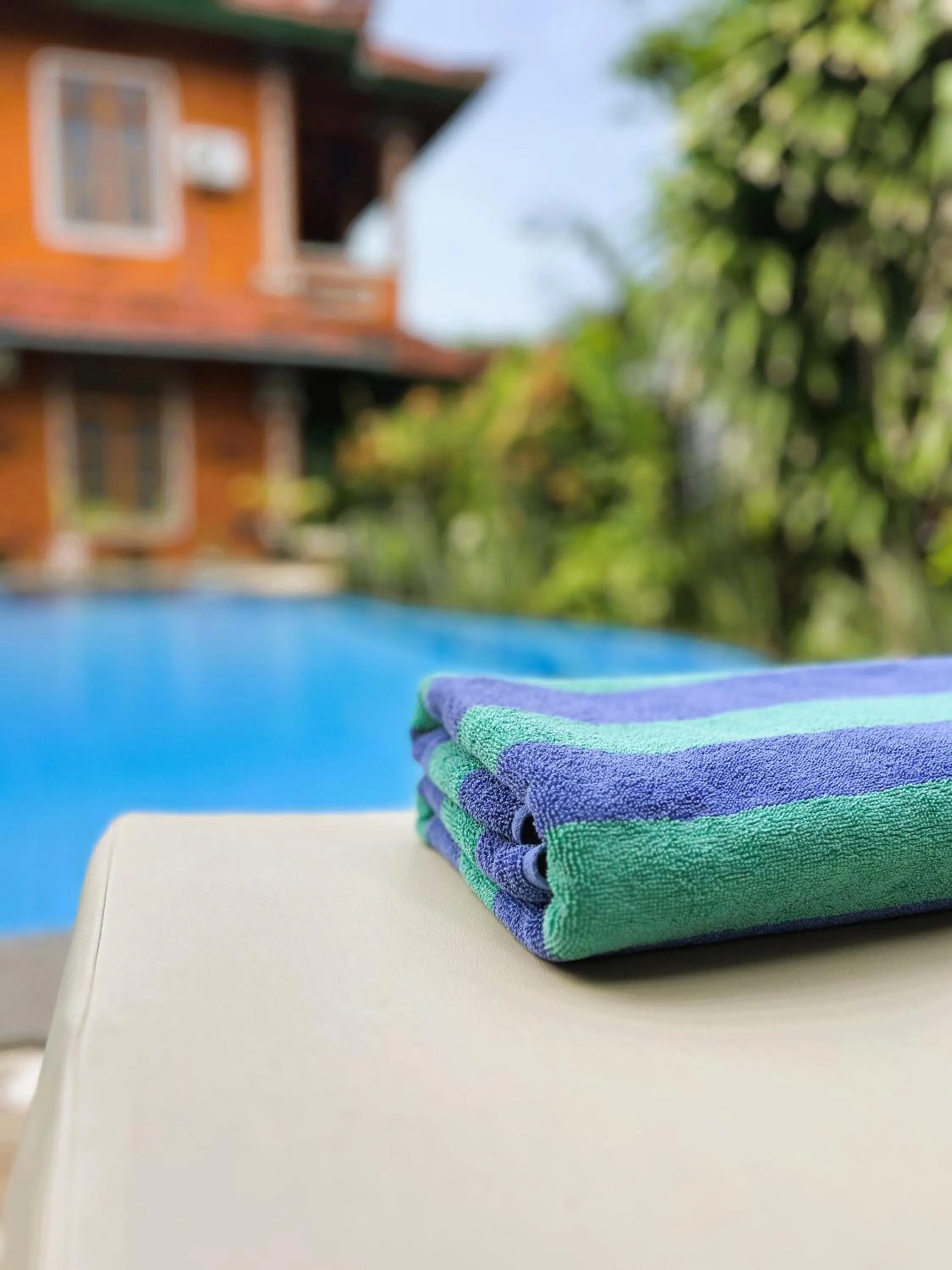 Pool view in Kubu Elsa Bali