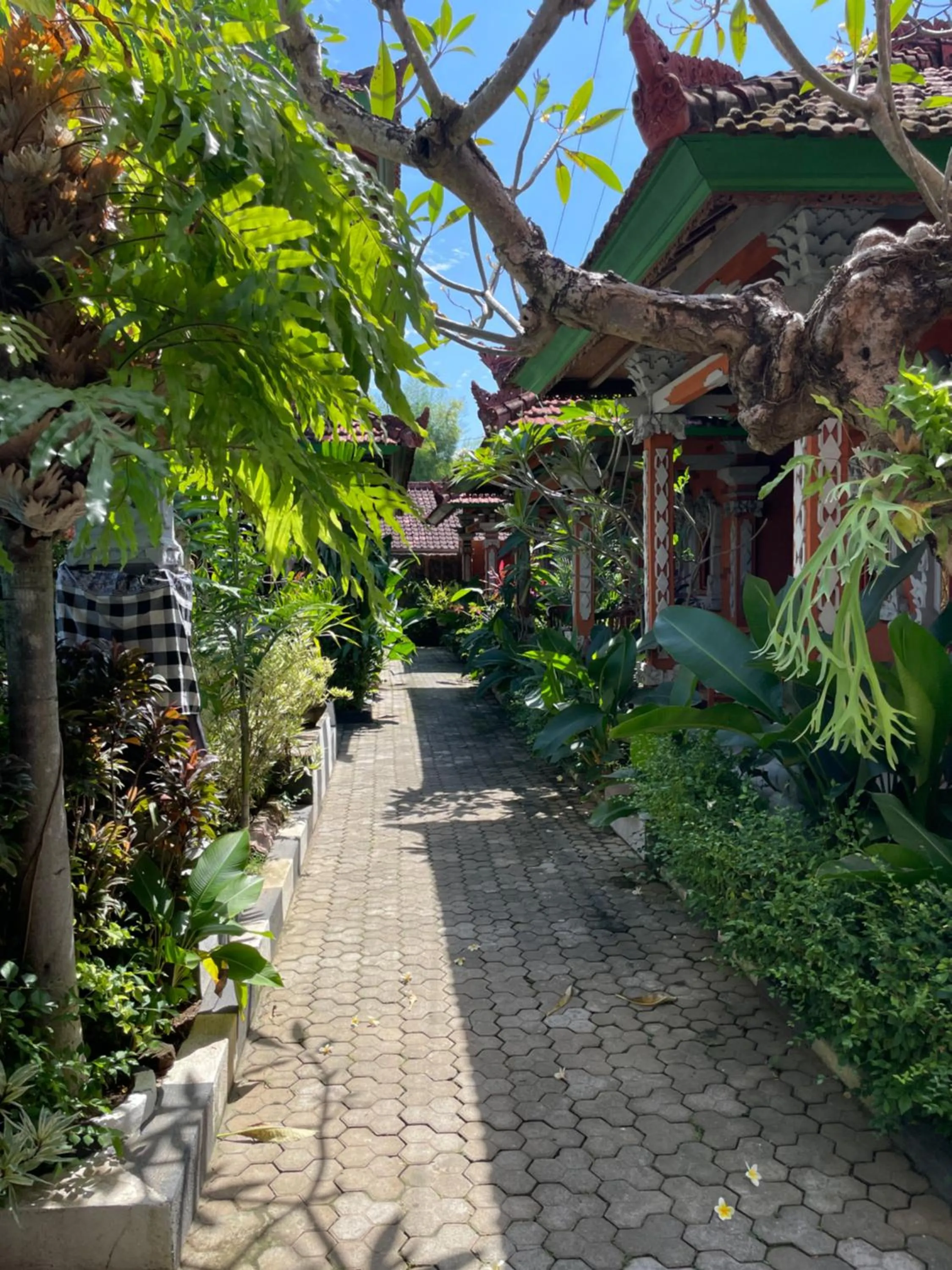 Property building in Kubu Elsa Bali