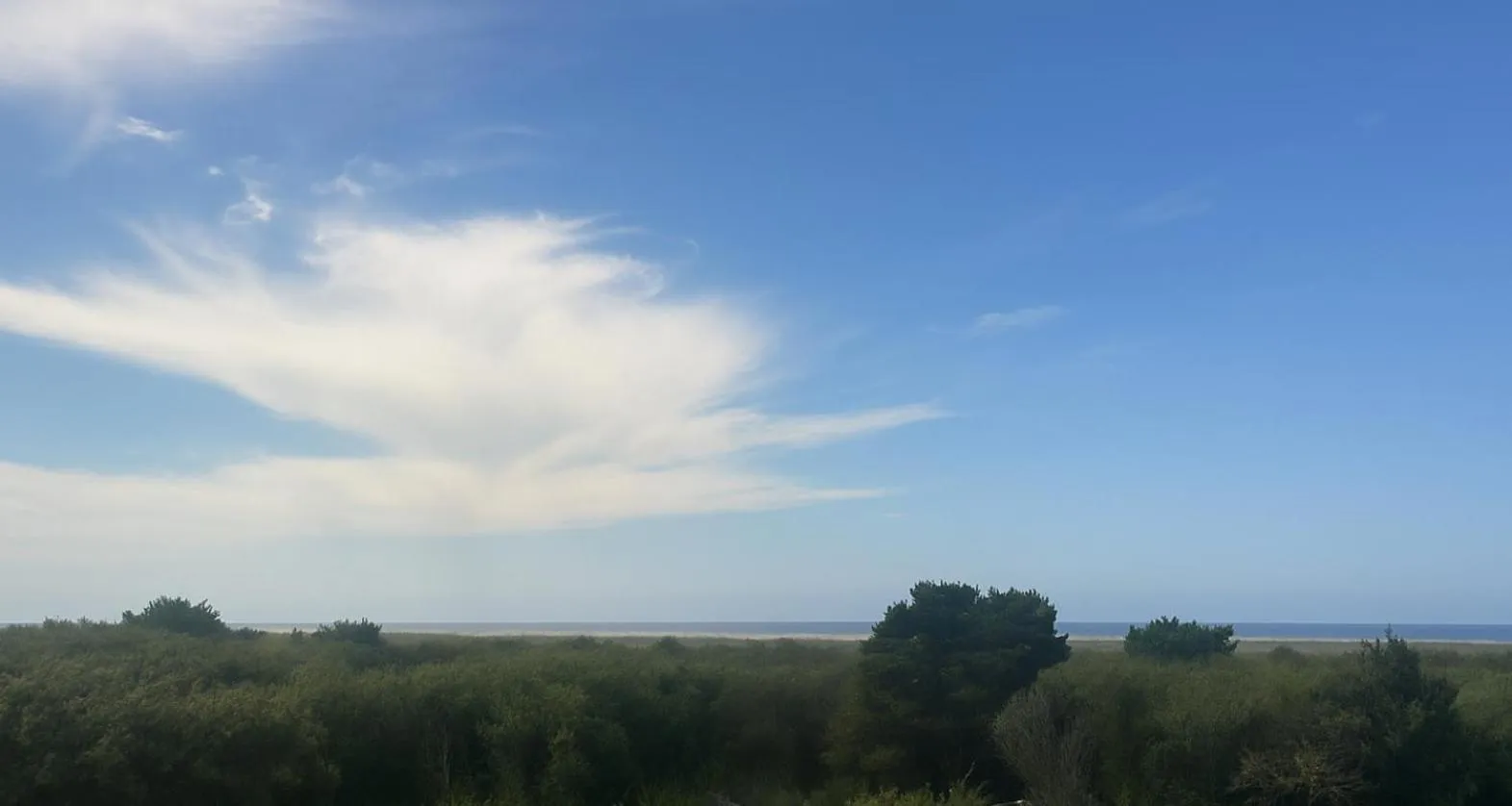 Sea view in Hotel Mar Vista