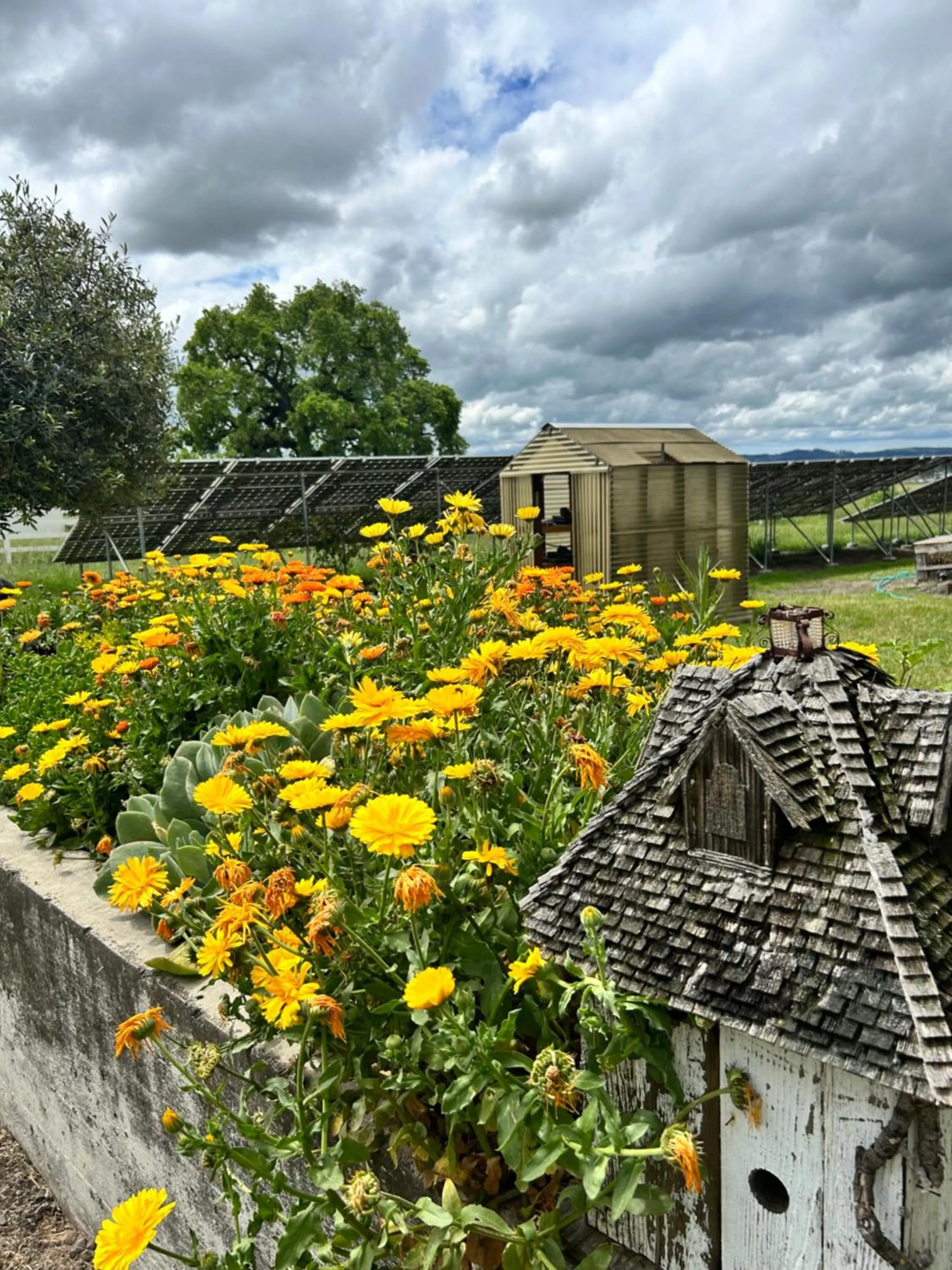 Garden in The Gables Wine Country Inn