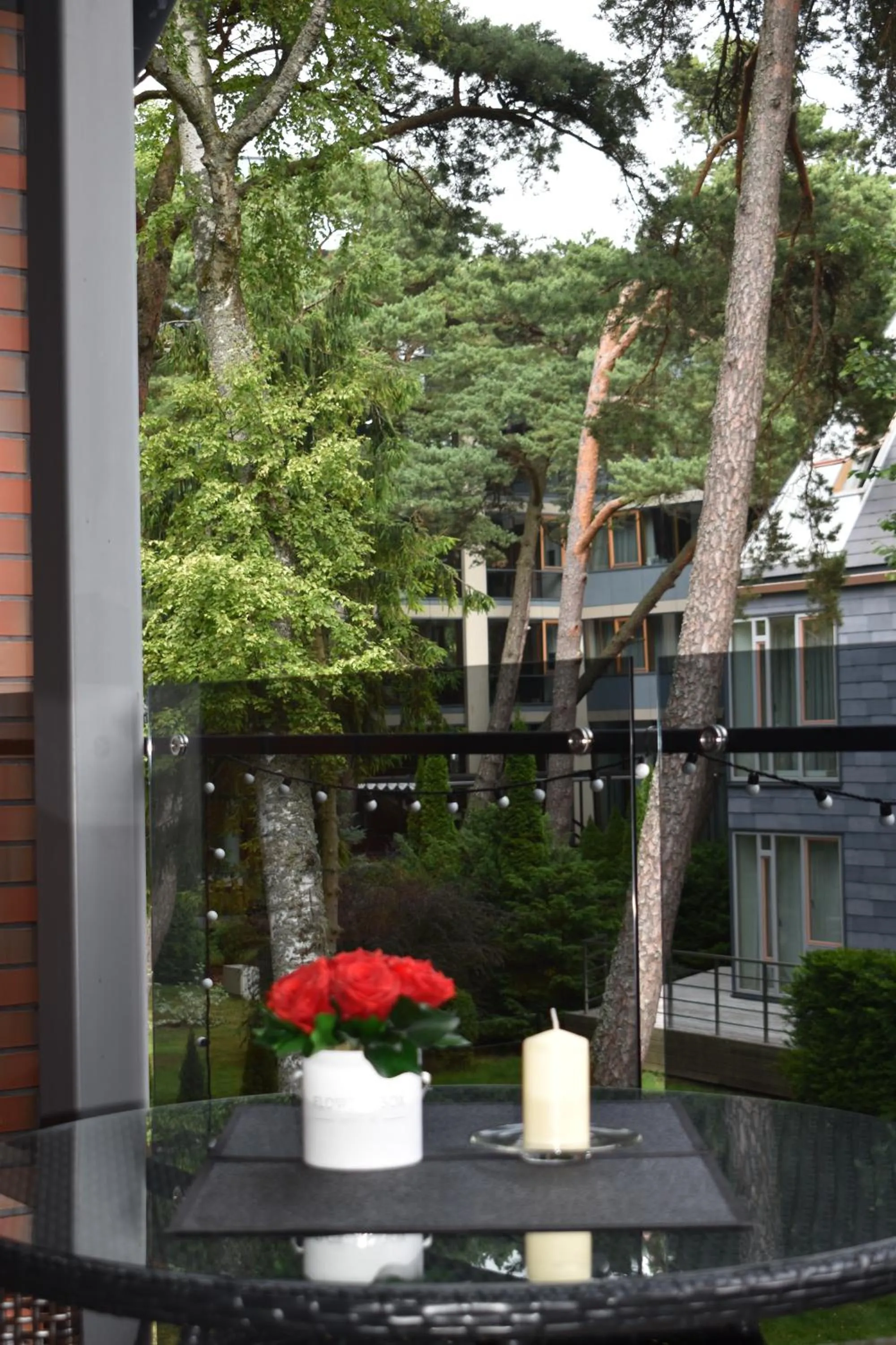 Garden in Saulės Krantas