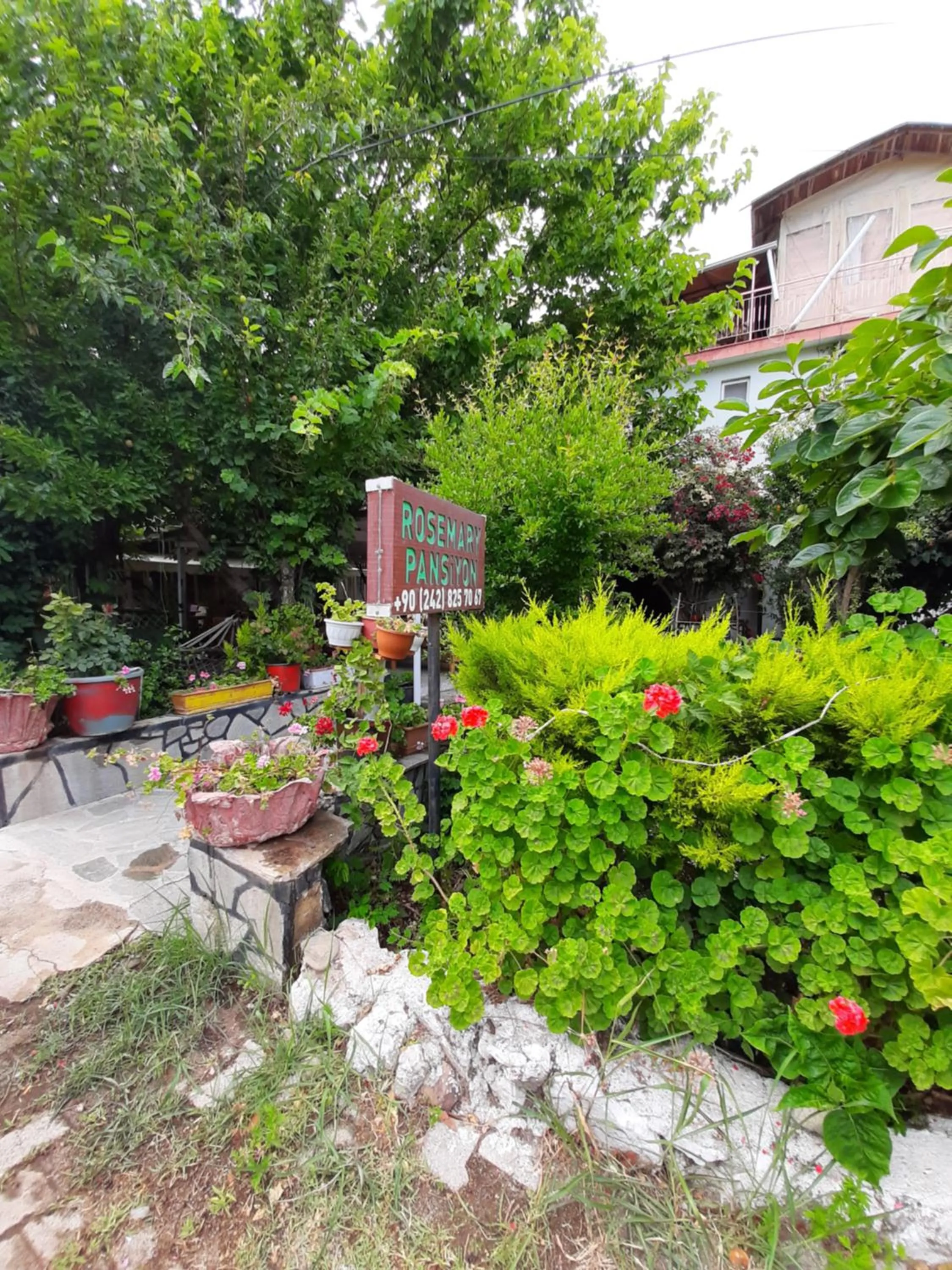Natural landscape in Rosemary Pansiyon