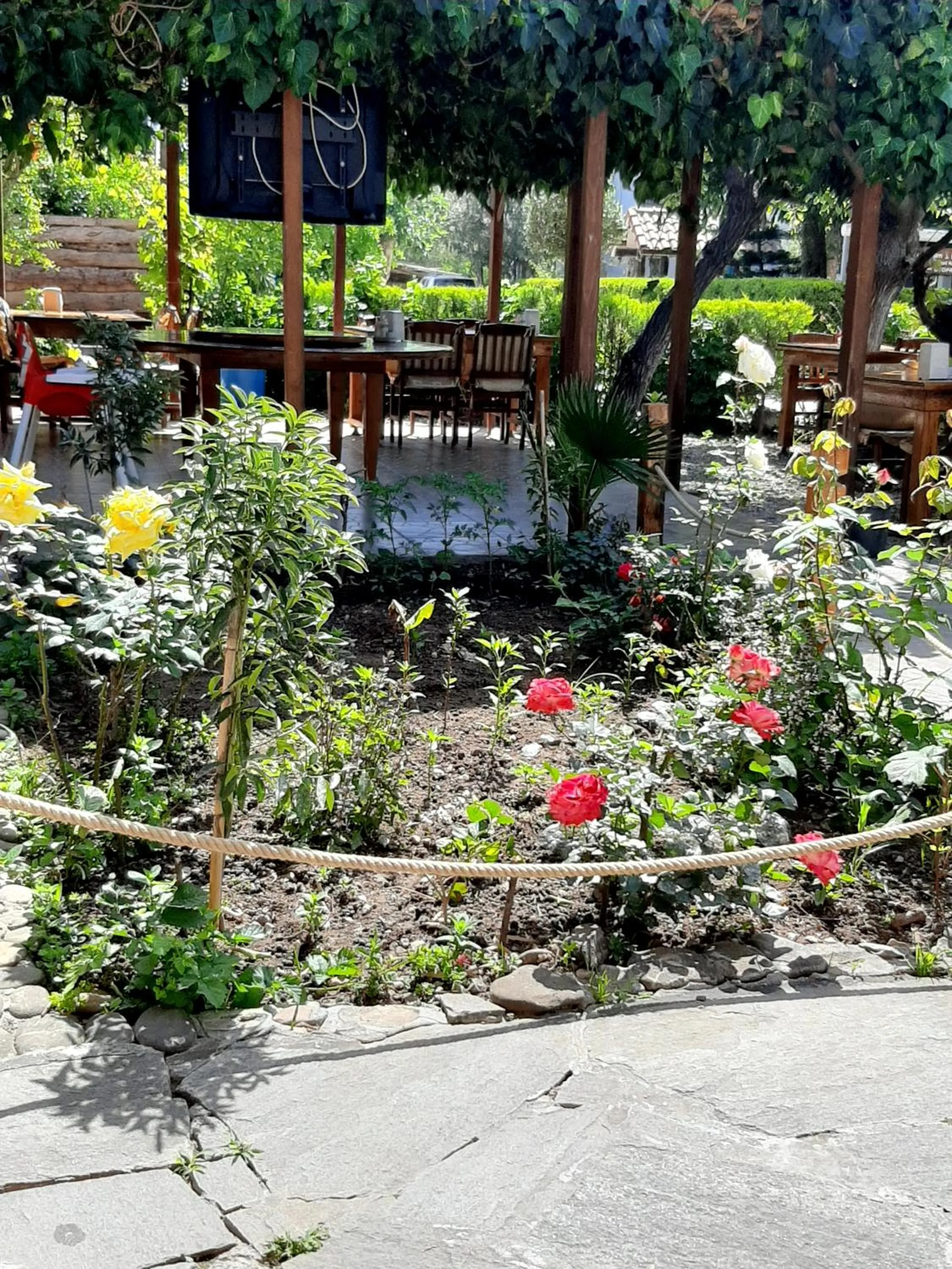 Restaurant/places to eat in Rosemary Pansiyon