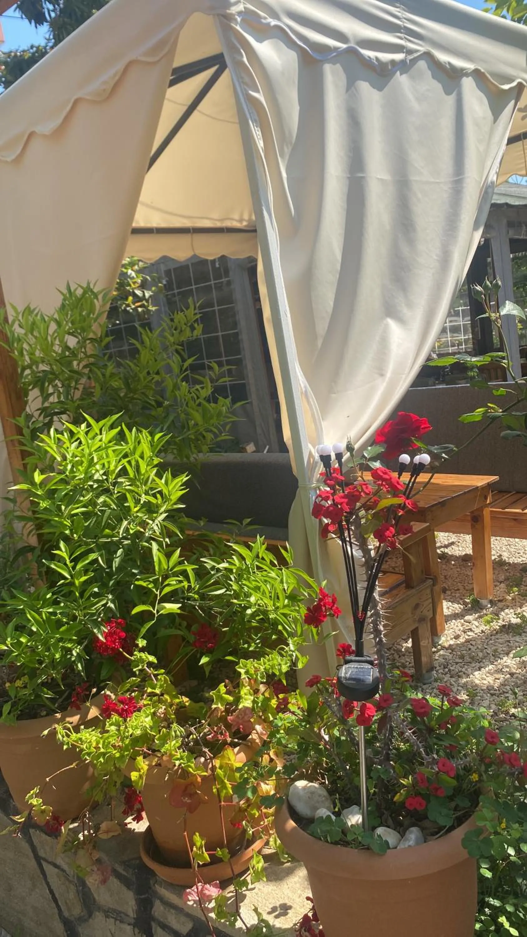 Garden in Rosemary Pansiyon