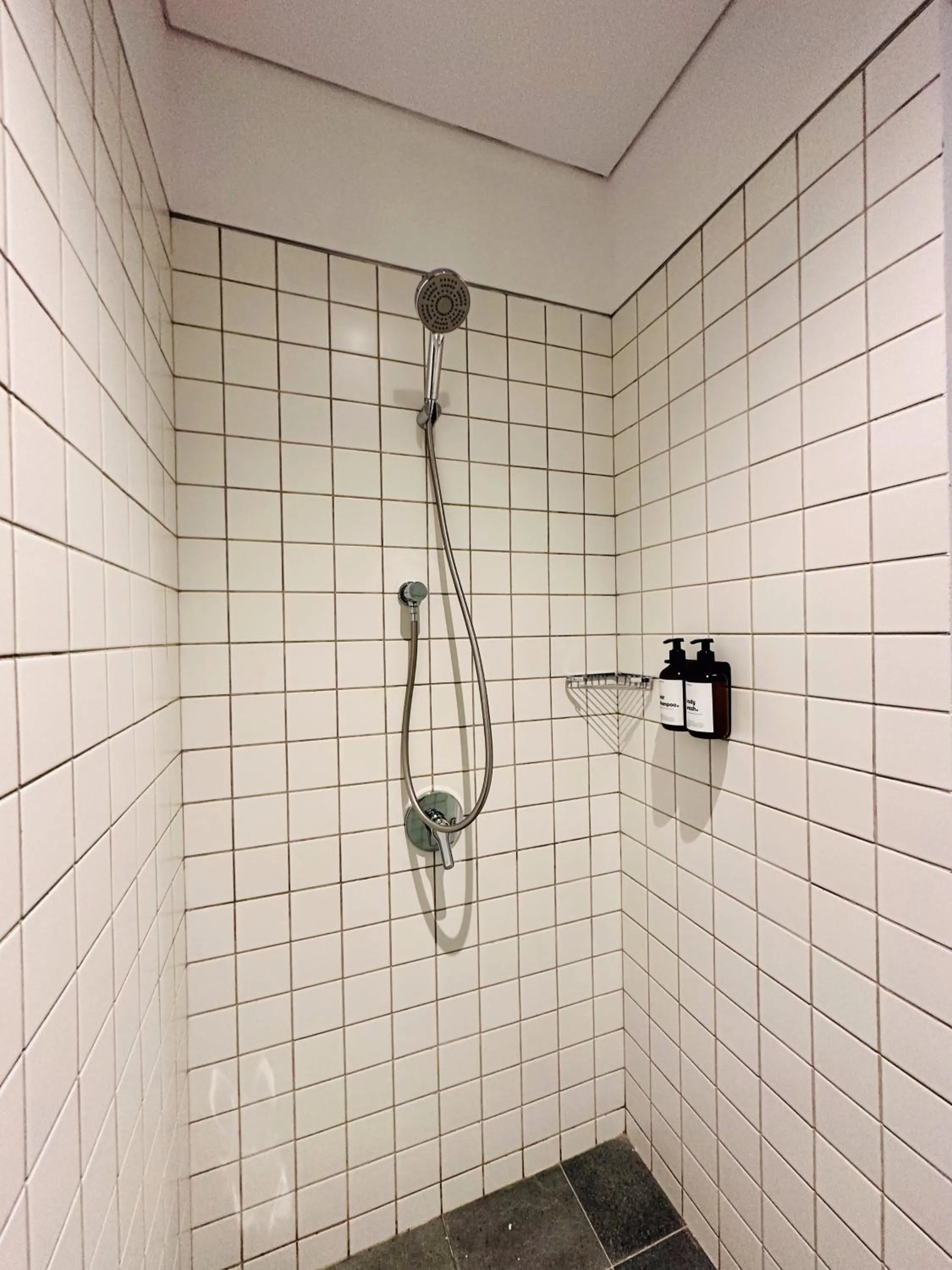 Shower in Bungalow Homes