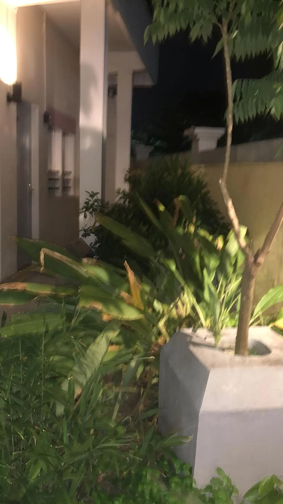 Night in Hotel Arda Bali