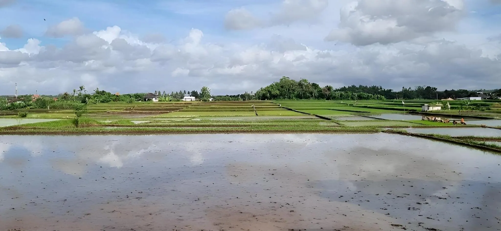 Day in Hotel Arda Bali