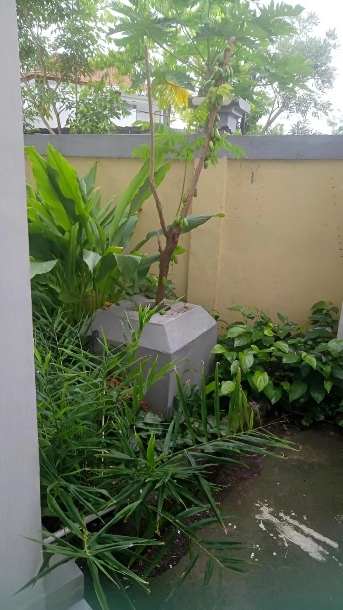 Day in Hotel Arda Bali