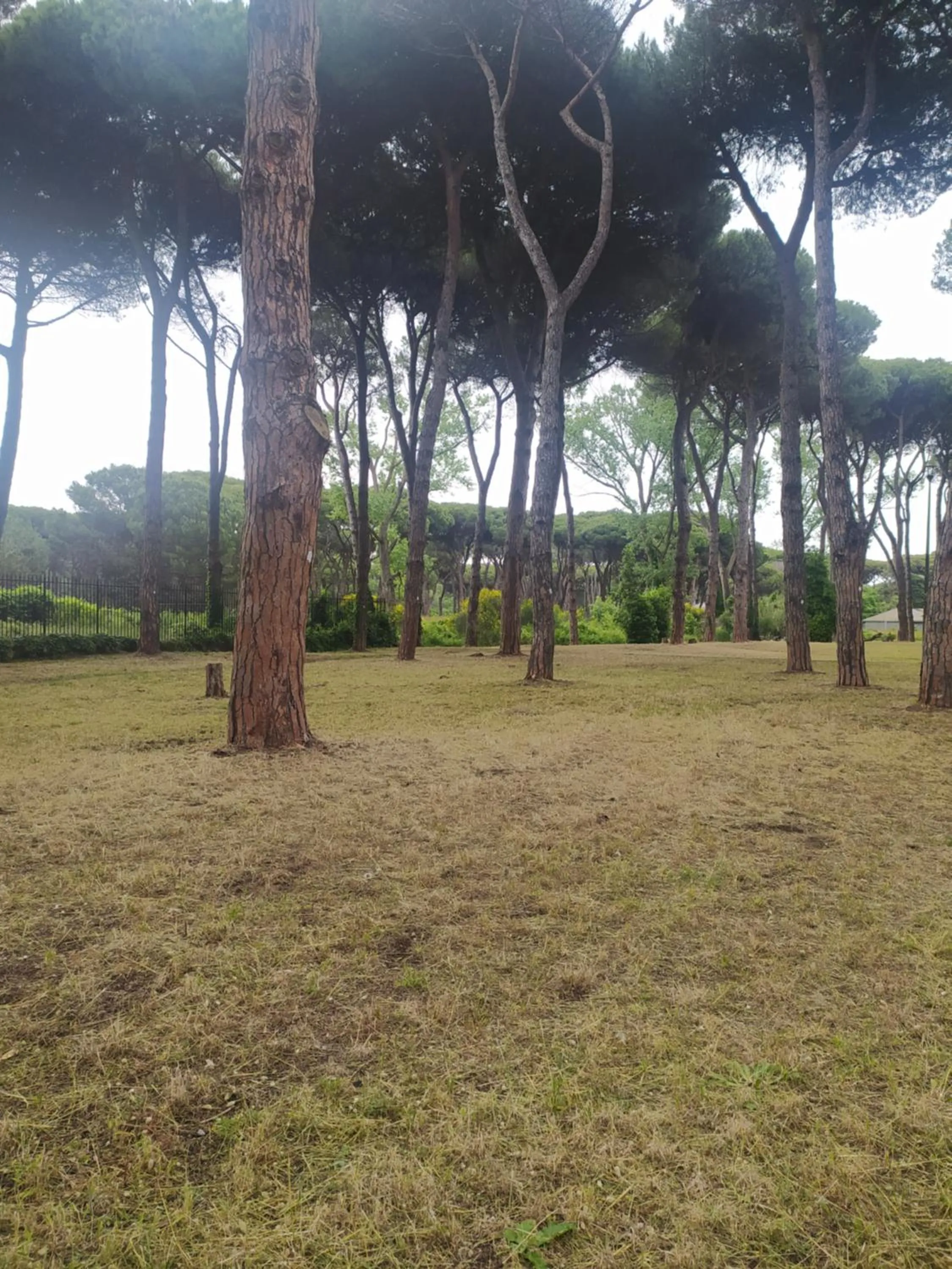 Natural landscape in Attico con terrazza in Via dei Traghetti