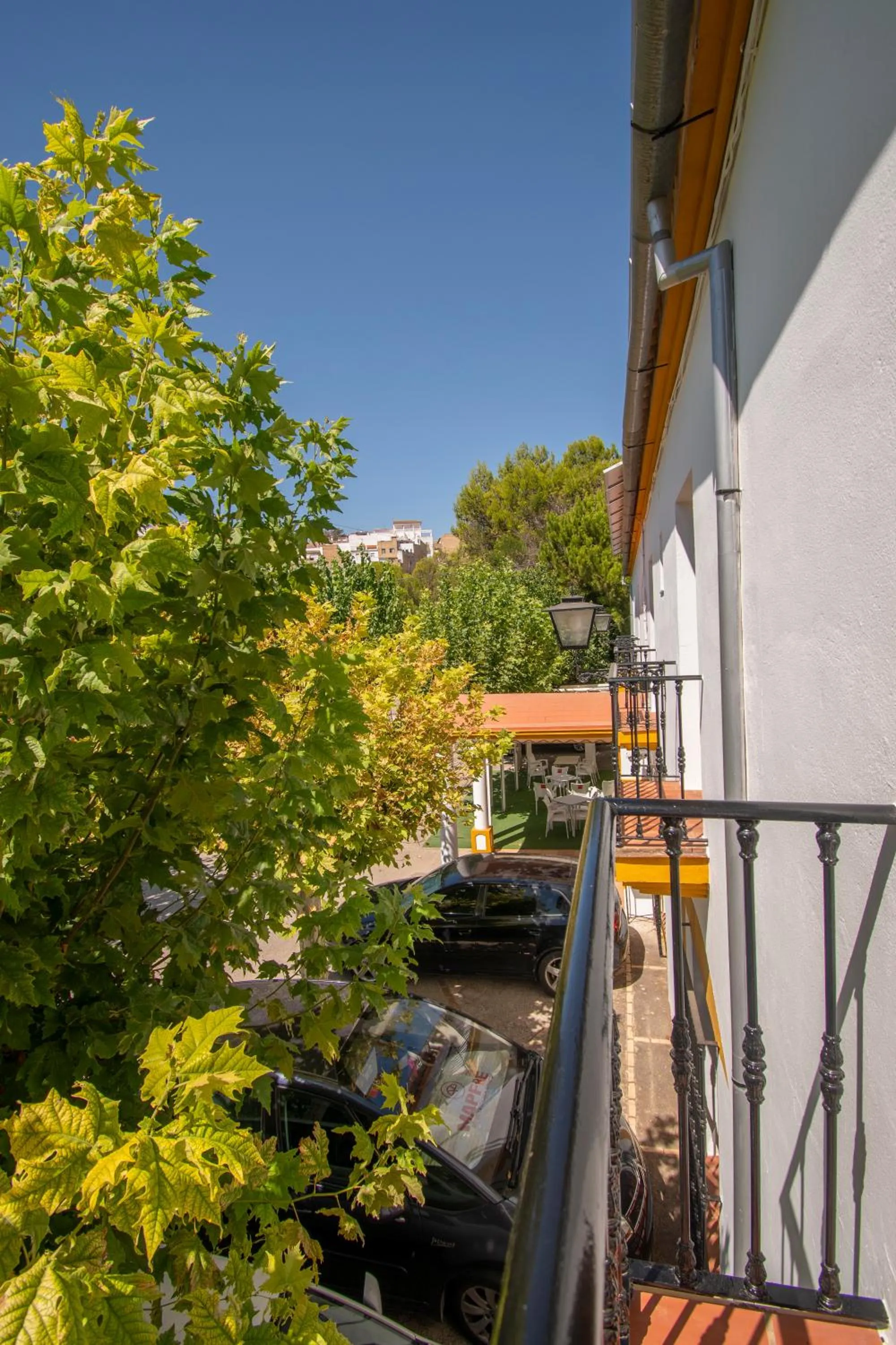 Balcony/Terrace in Hotel del Carmen