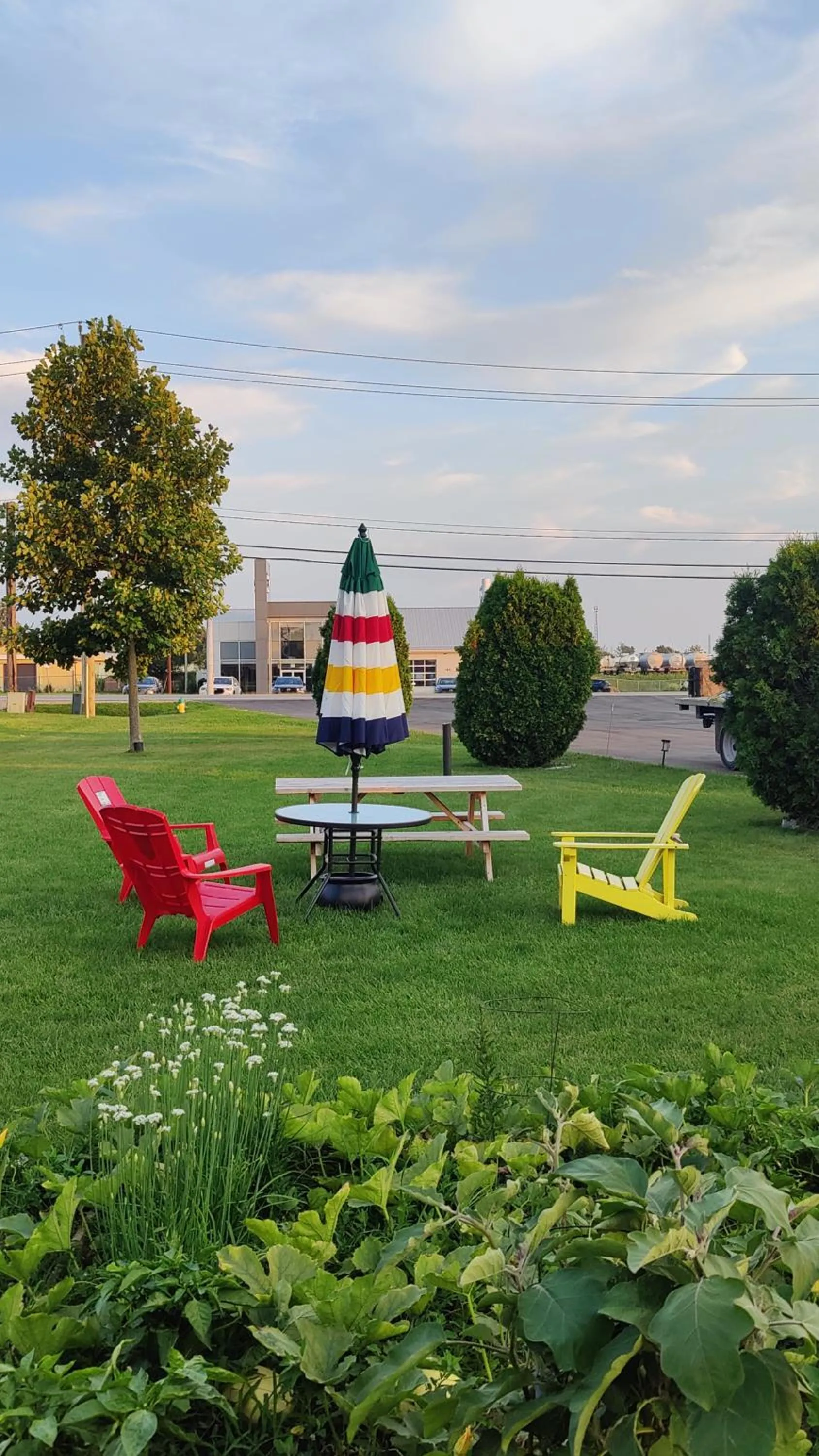 Property building in Tulip Motel