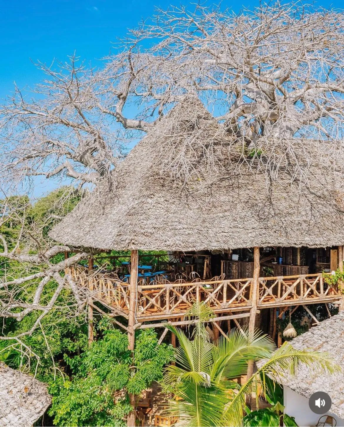 Restaurant/places to eat in Baobab Africa Lodge Zanzibar