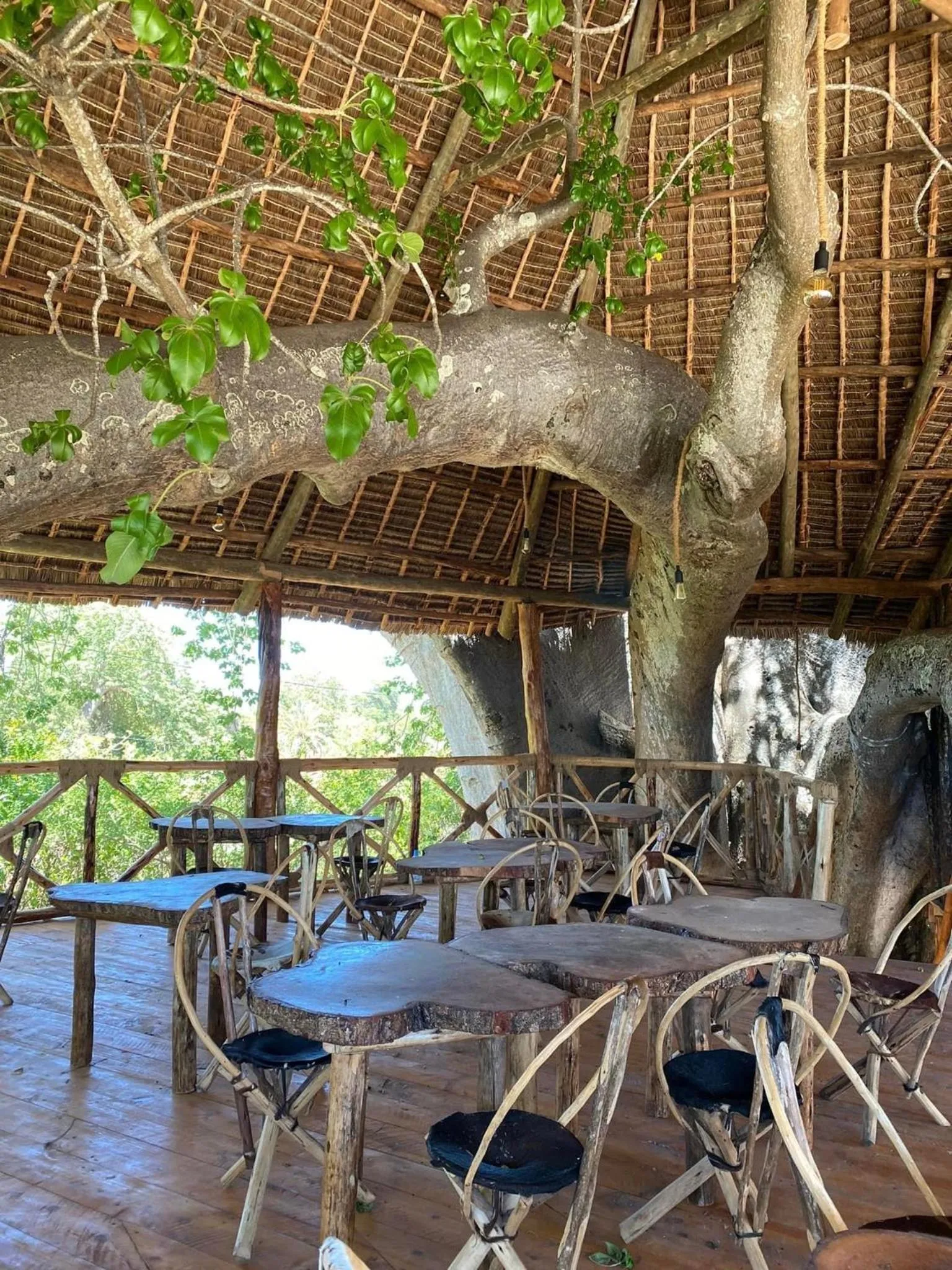 Restaurant/places to eat in Baobab Africa Lodge Zanzibar
