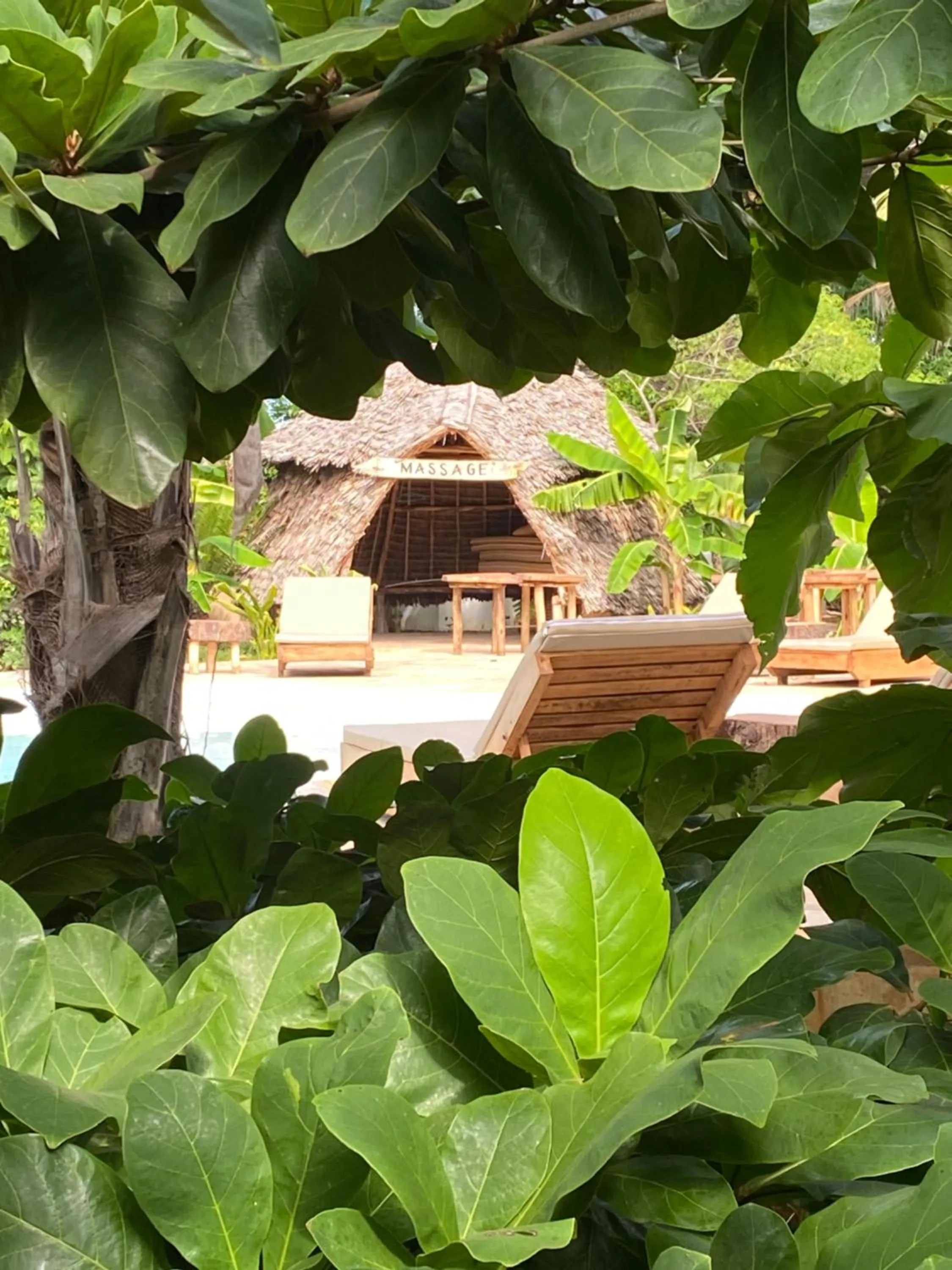 Day in Baobab Africa Lodge Zanzibar