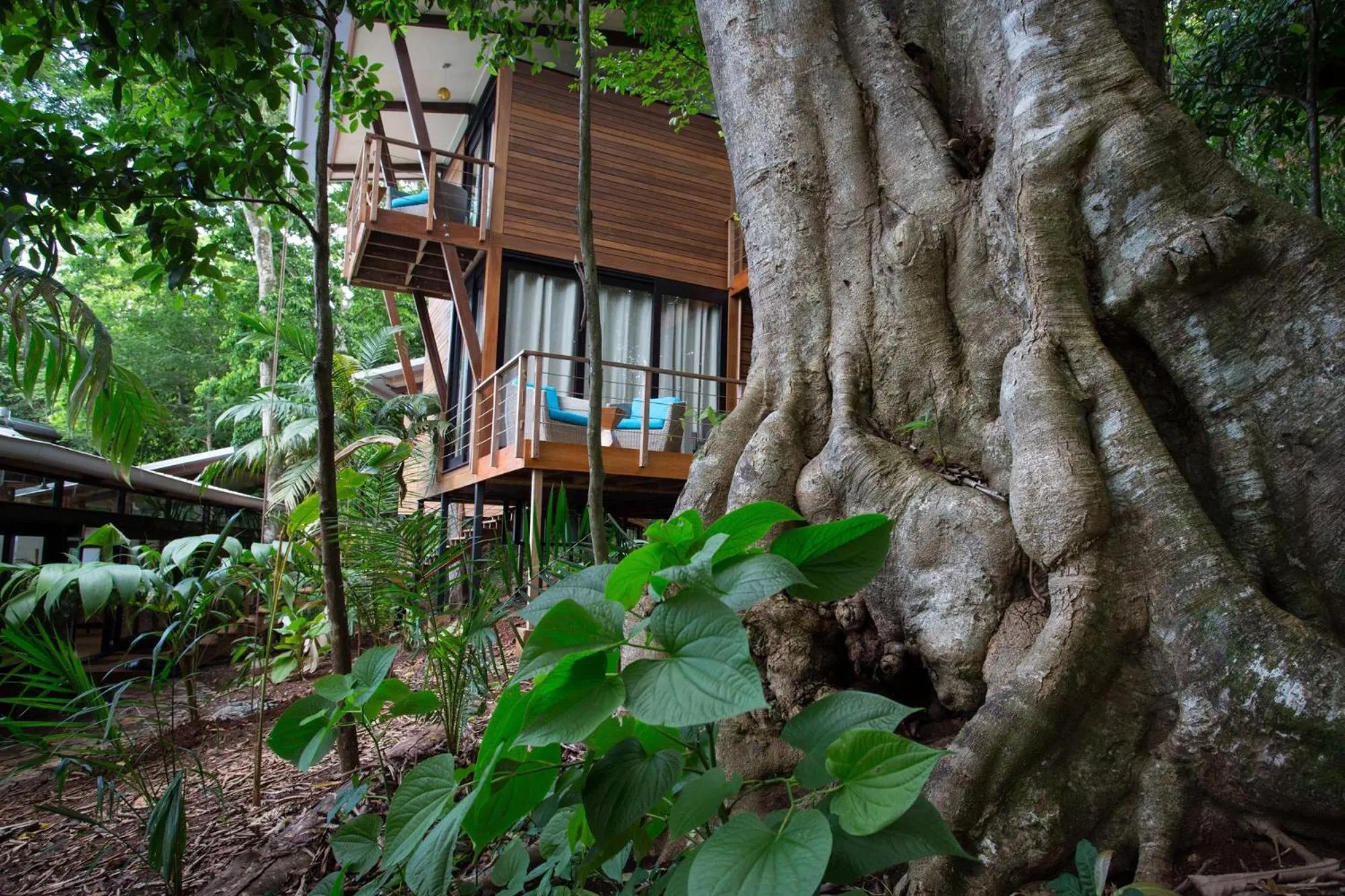 Natural landscape in The Resort at Isla Palenque Member of the Cayuga Collection