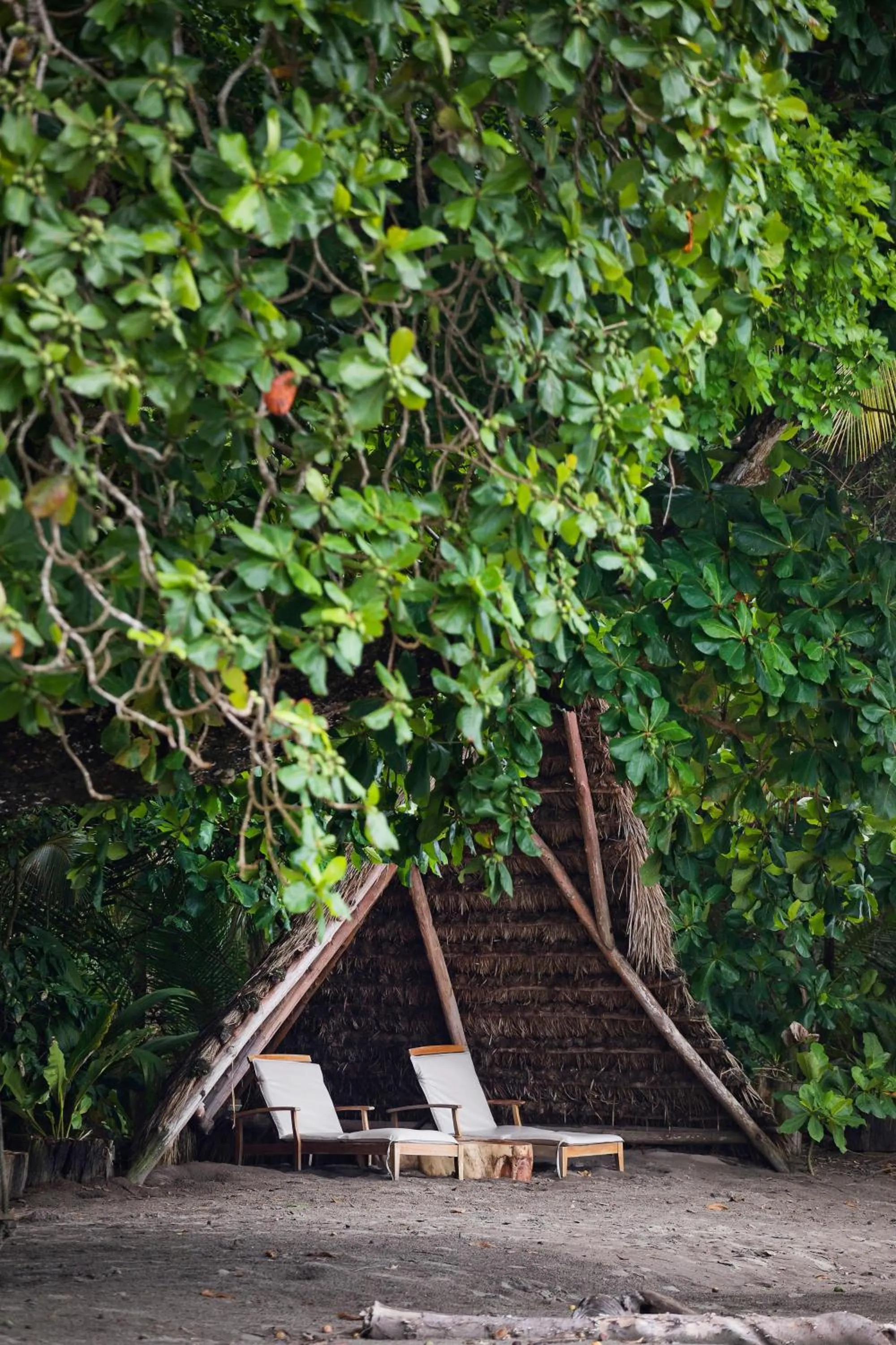 Natural landscape in The Resort at Isla Palenque Member of the Cayuga Collection