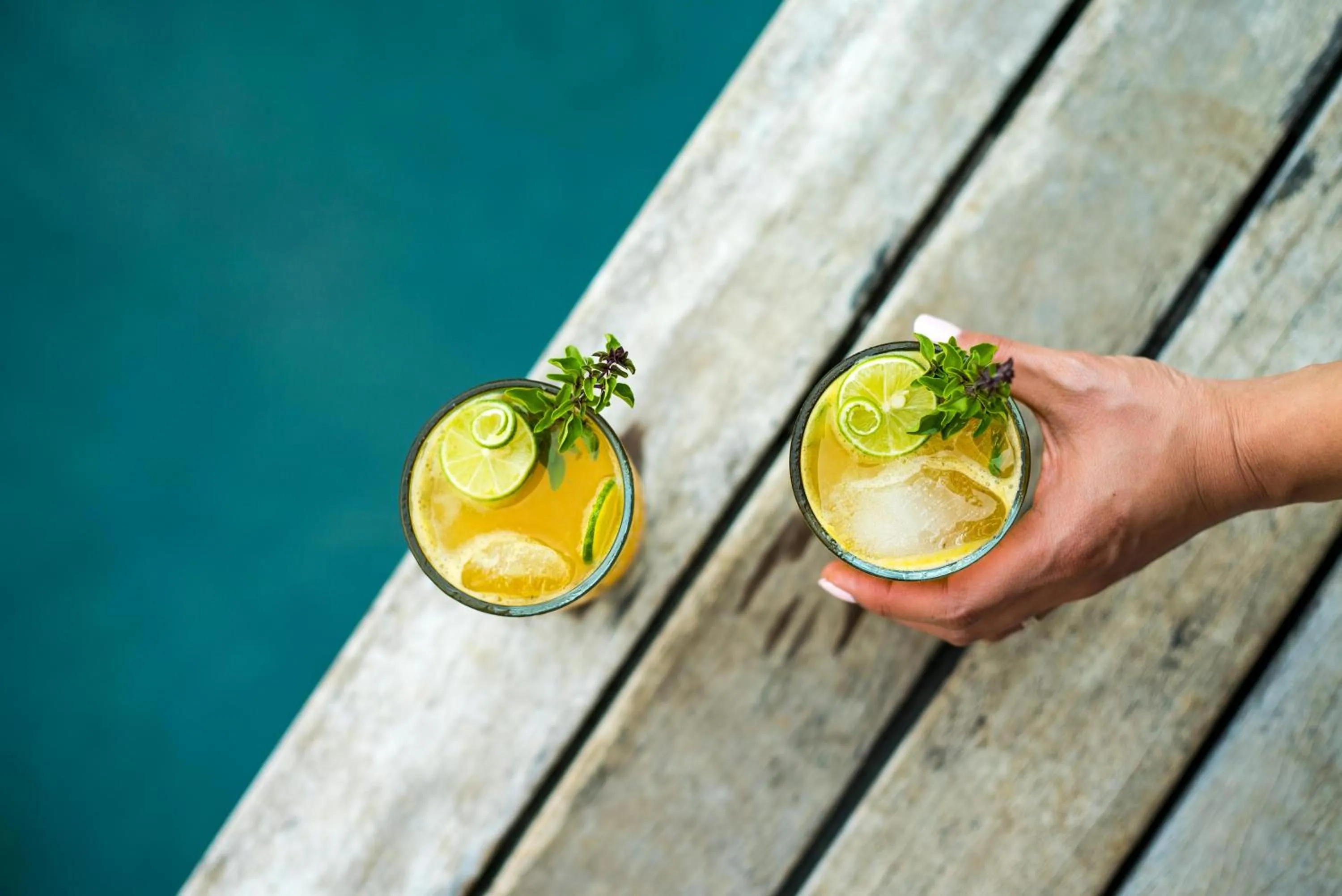 Lounge or bar in The Resort at Isla Palenque Member of the Cayuga Collection