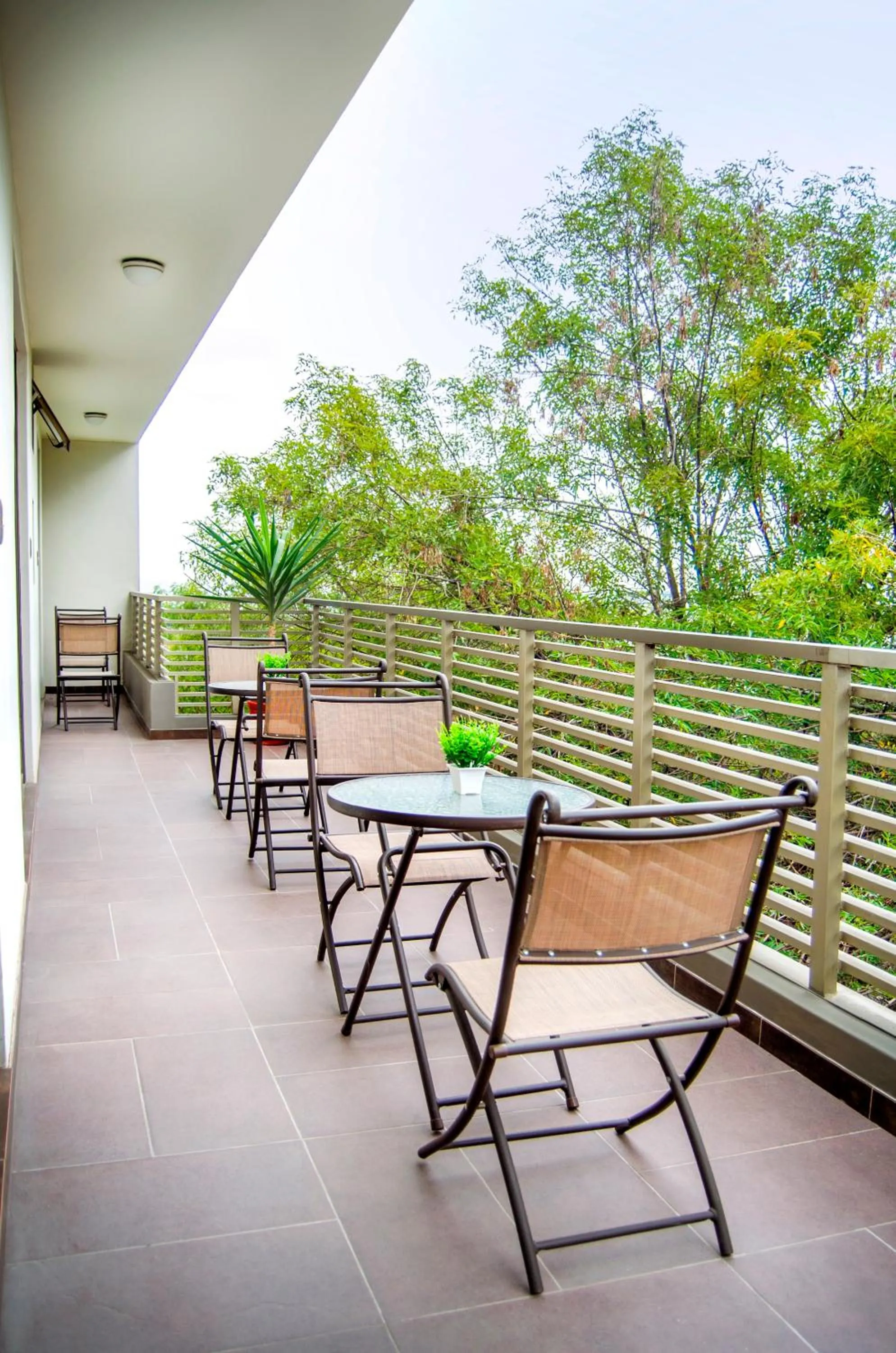 Restaurant/places to eat in Hotel D'Carlo Class