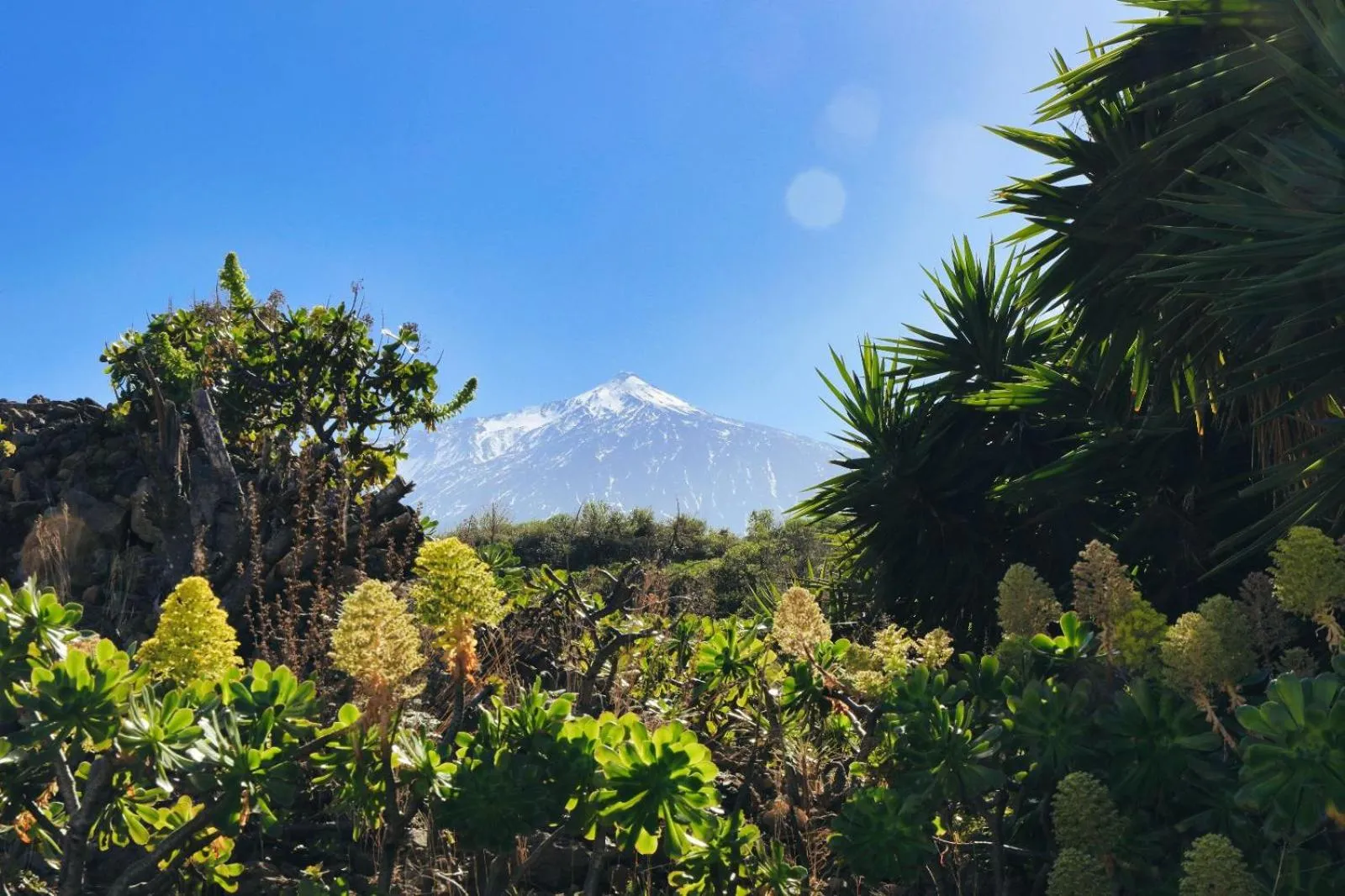 Nearby landmark in Finca Vino Tinto 1