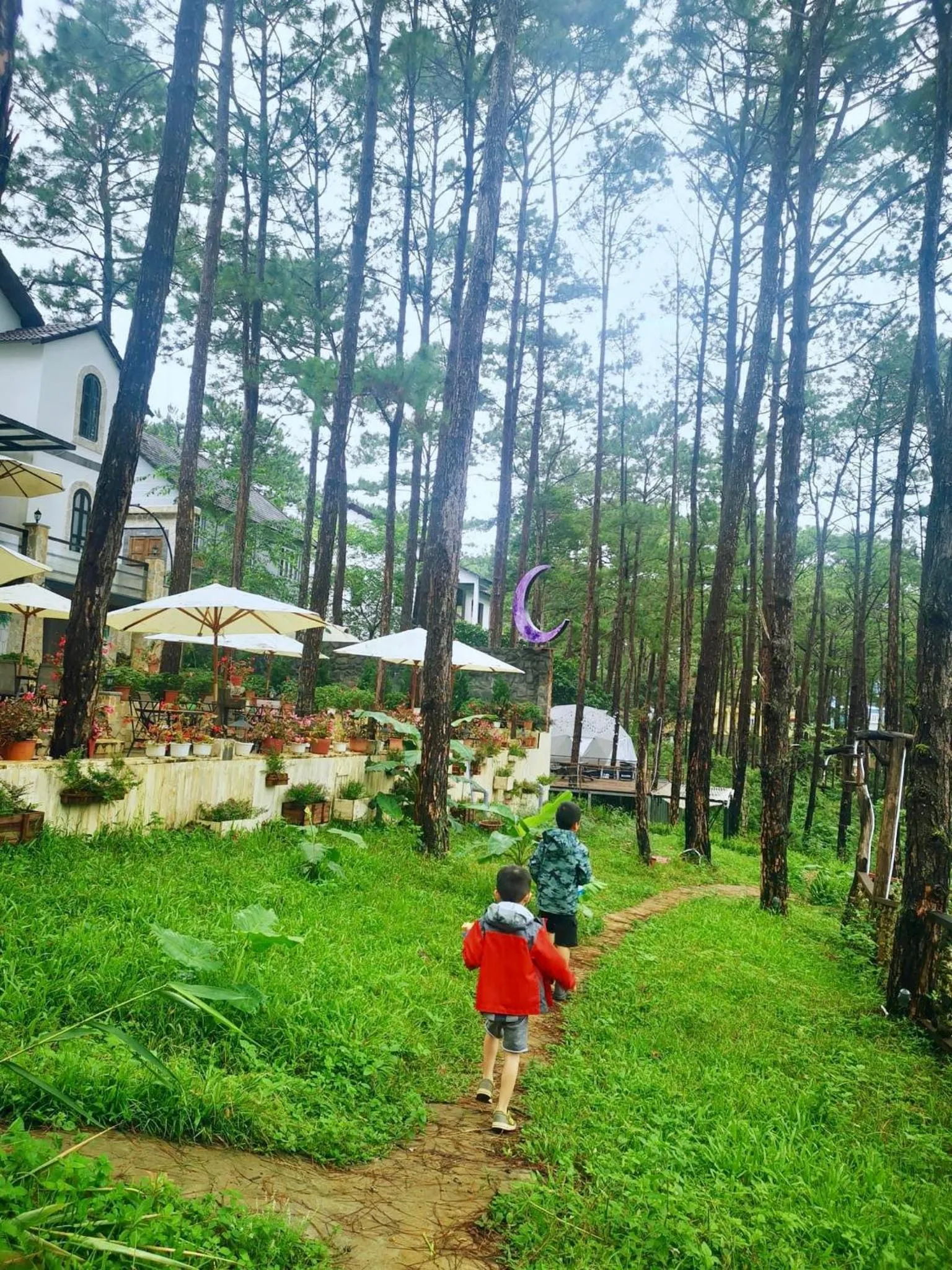 Garden in De Vivre Homestay Măng Đen