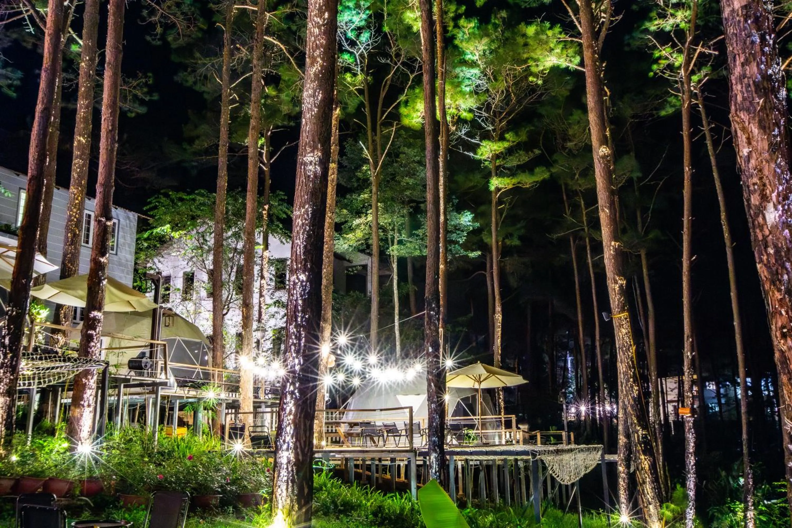 On site in De Vivre Homestay Măng Đen