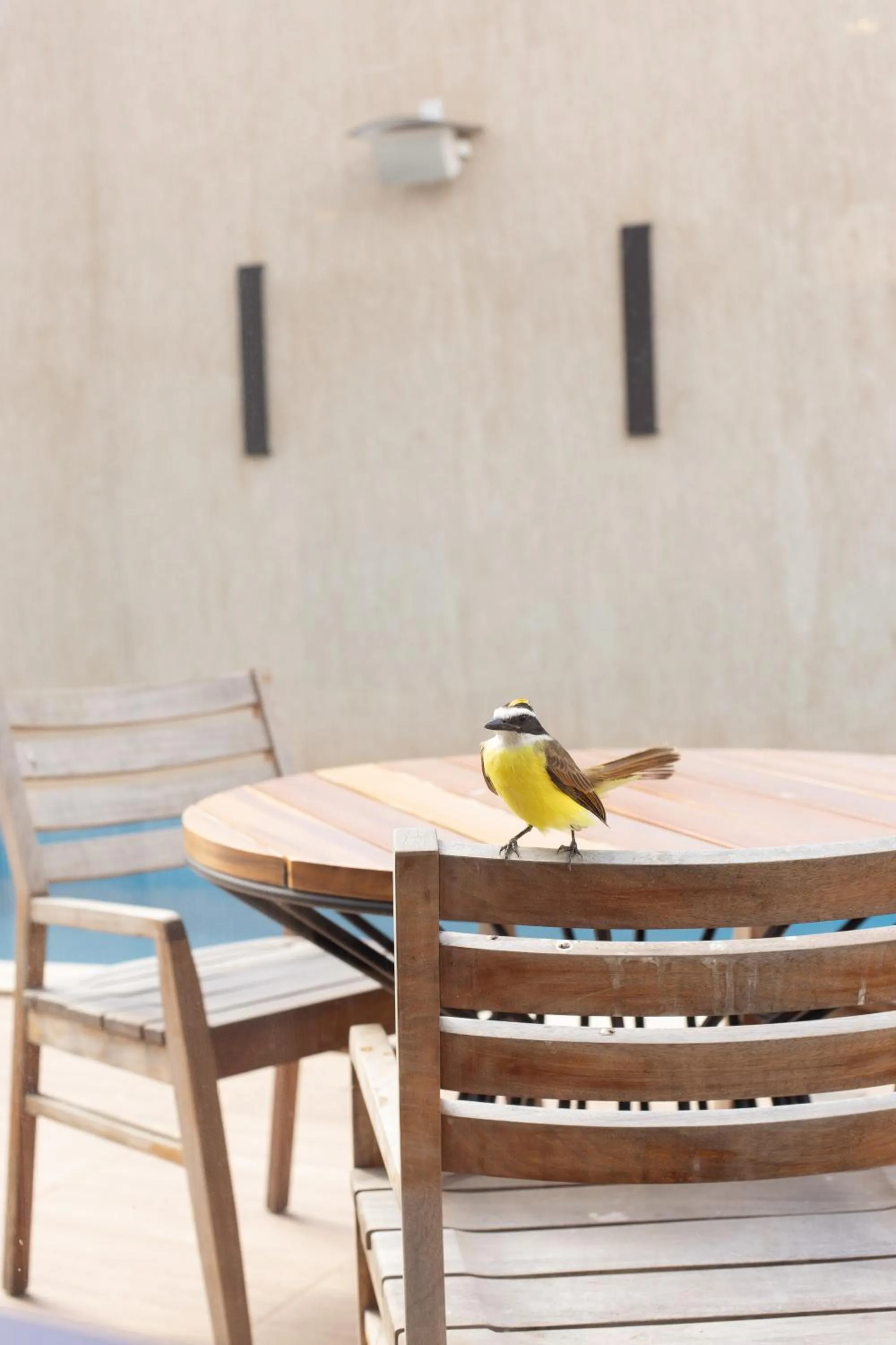 View (from property/room) in Nobile Hotel Araripina