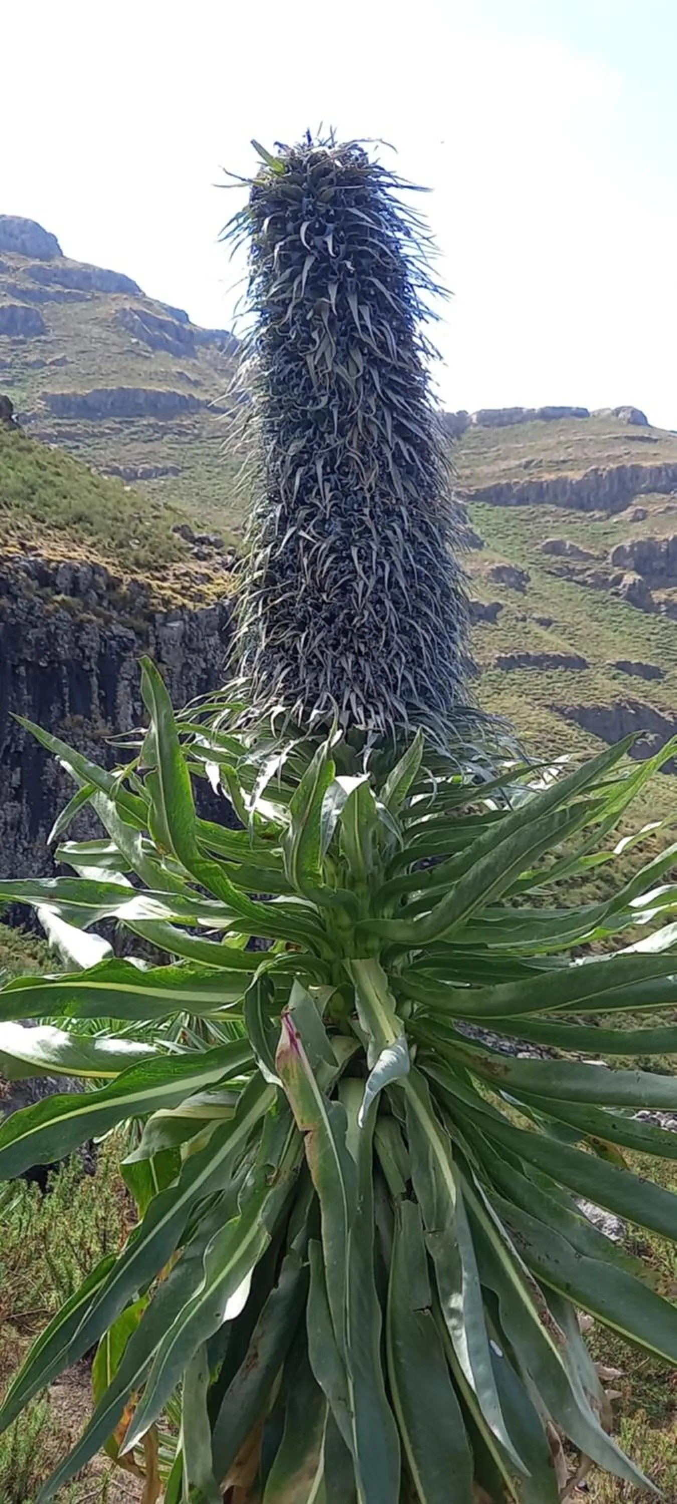 Nearby landmark in Zan-Seyoum Hotel - Lalibela