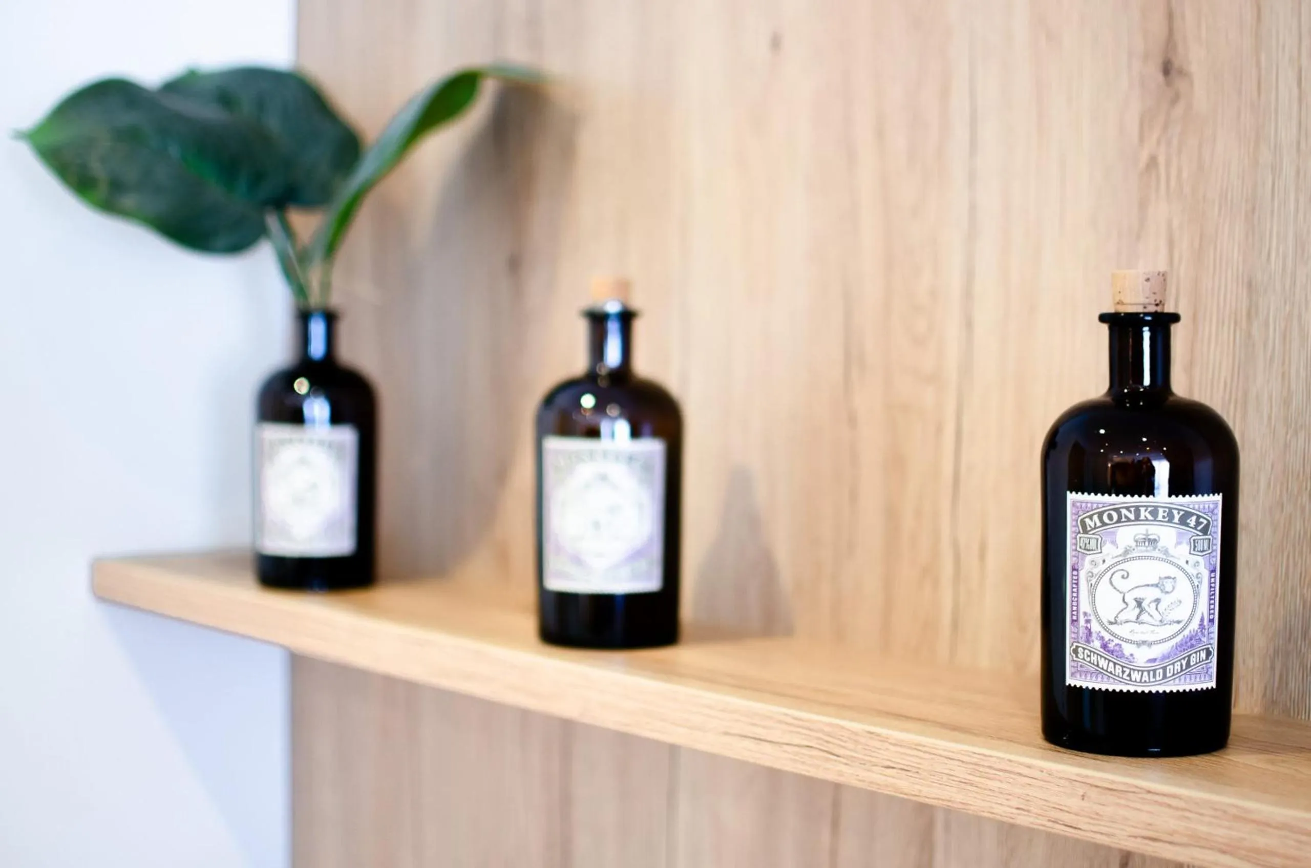 Appartements 'In Vino Veritas'