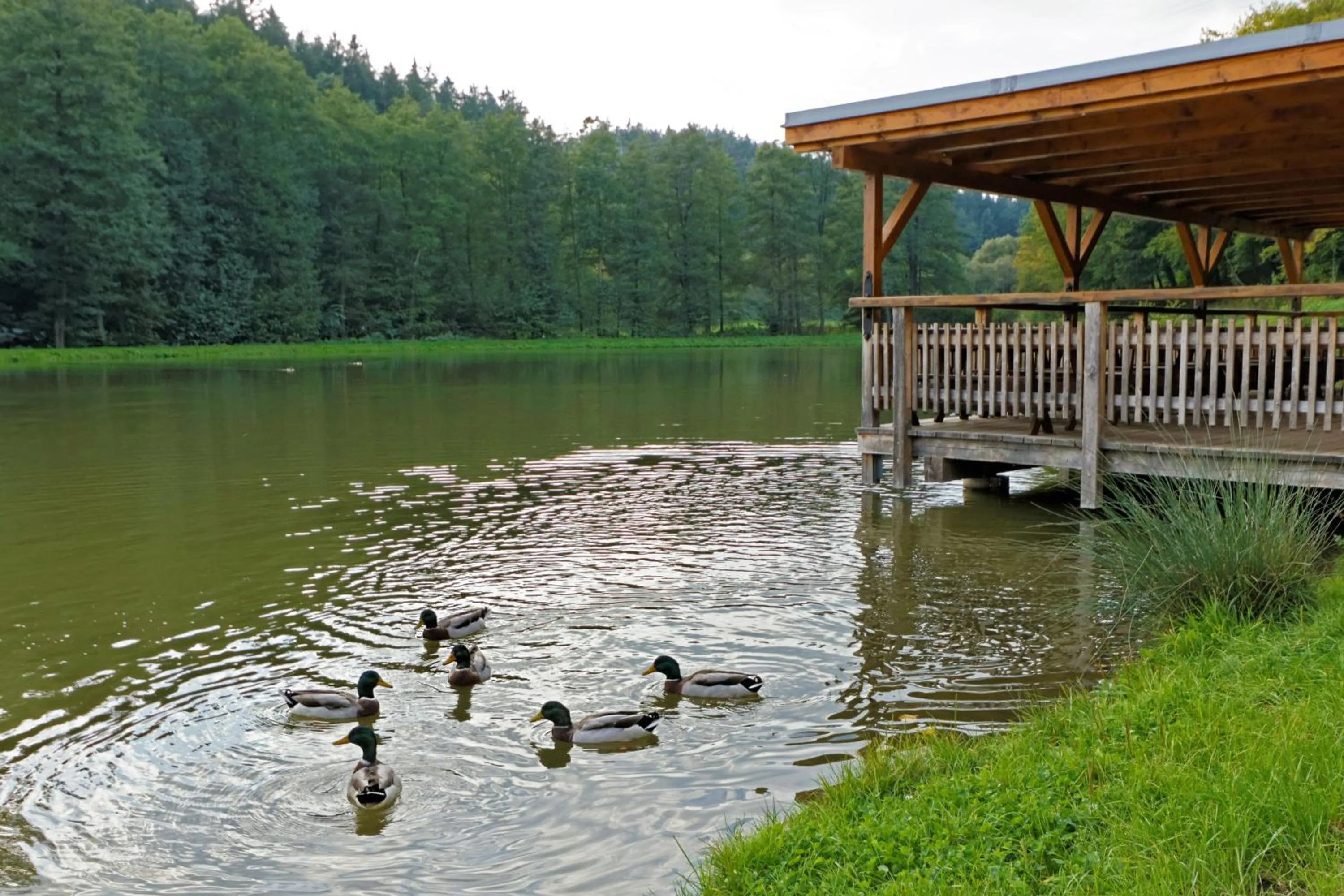 Neighbourhood in Porčův mlýn