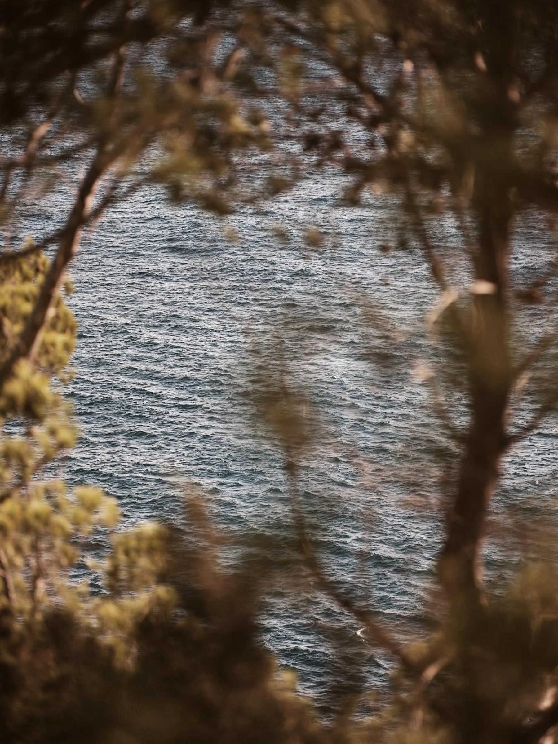 Sea view in Mondrian Ibiza