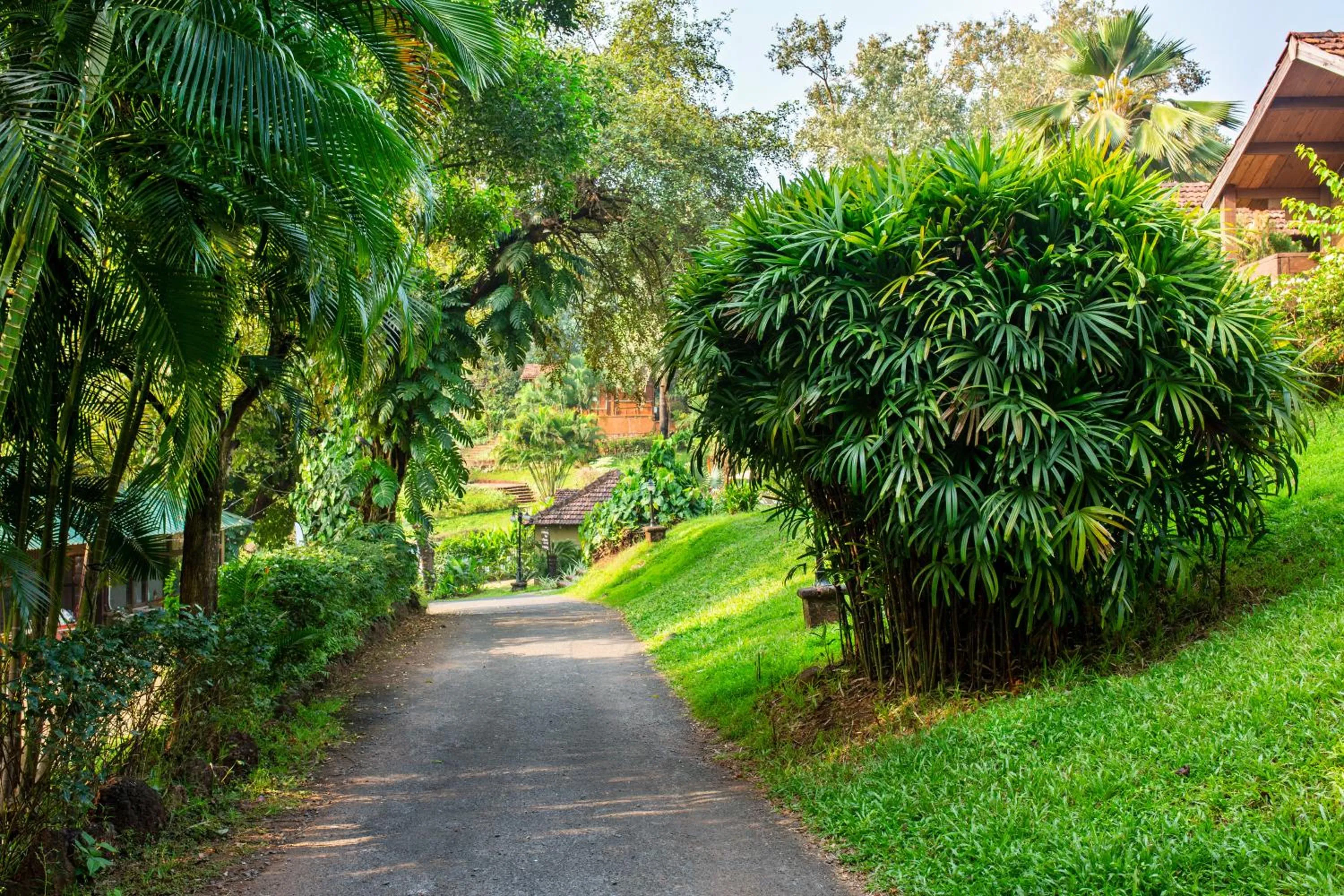 Day in Stone Water Eco Resort