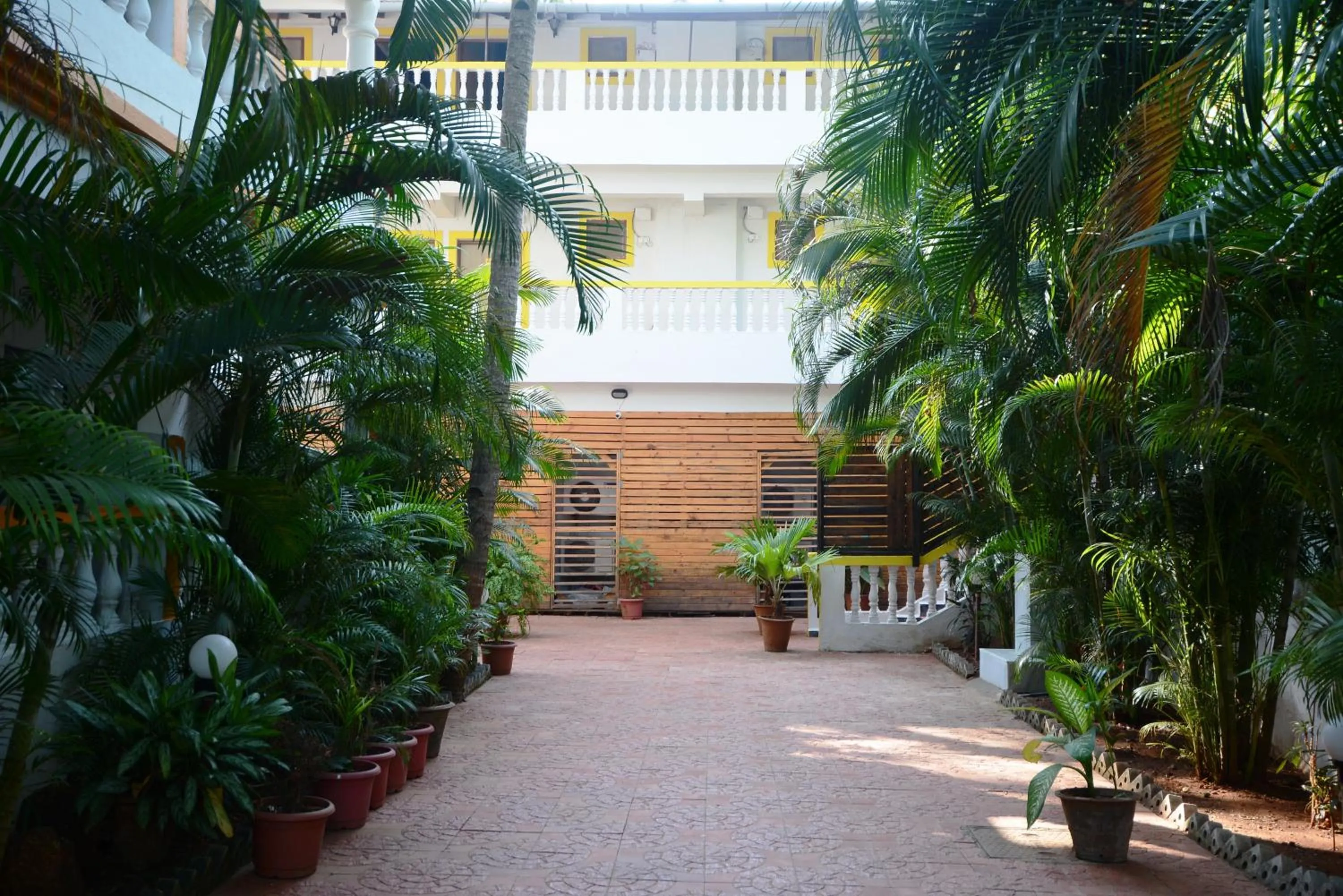 Garden in Silver Sands Sunshine - Angaara