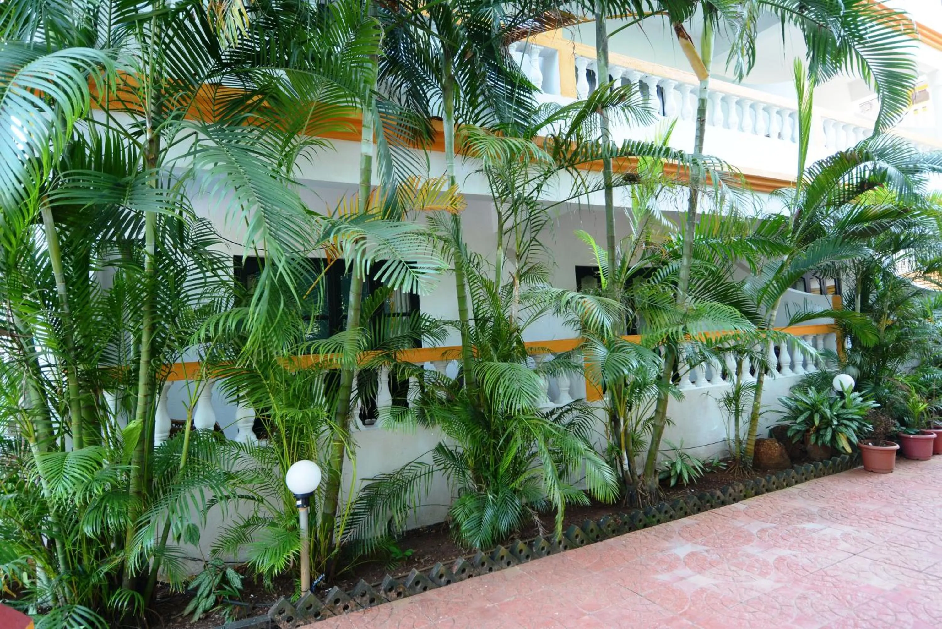 Garden in Silver Sands Sunshine - Angaara