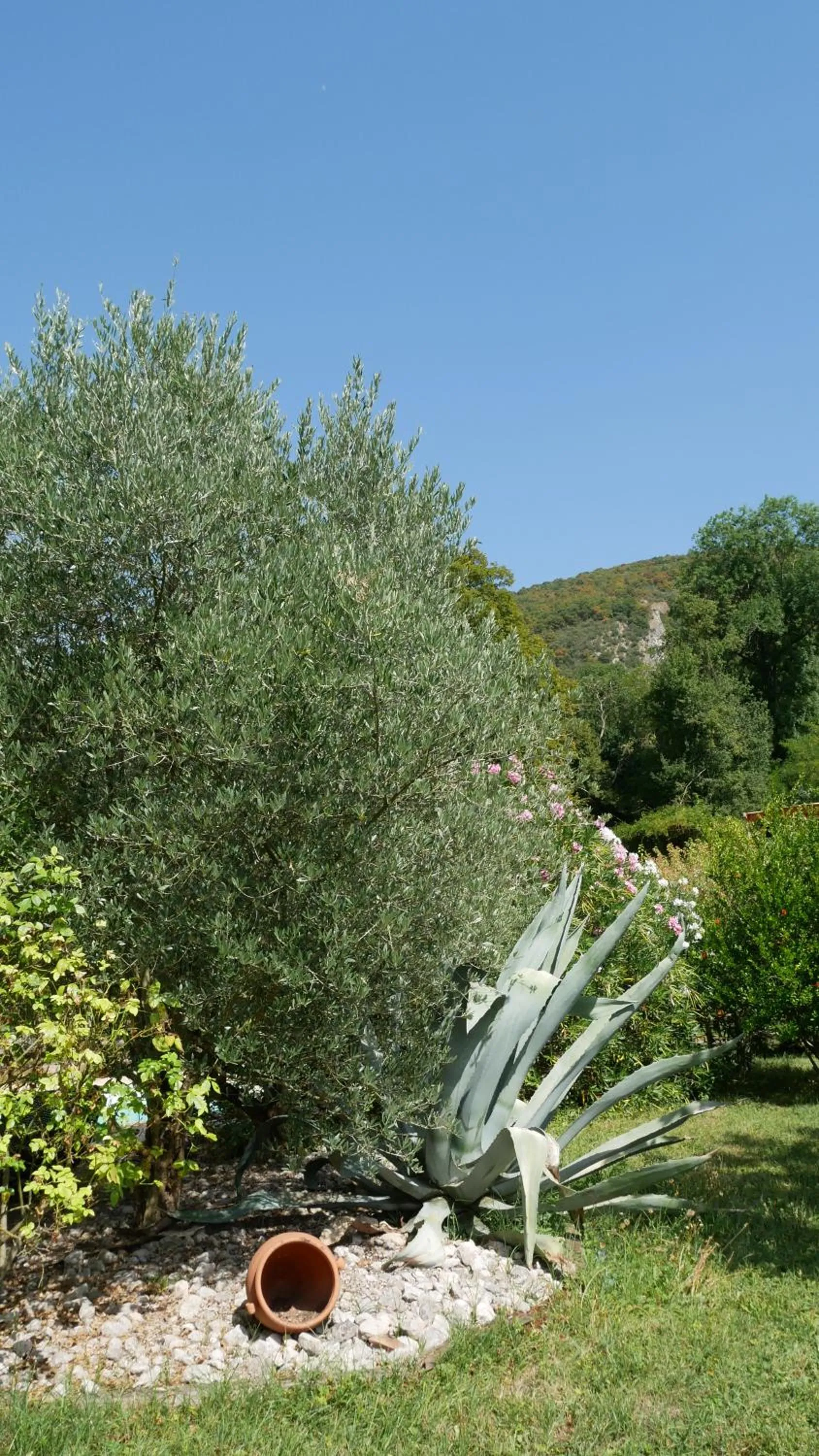 A l'orée du bois - Chambres d'hôtes