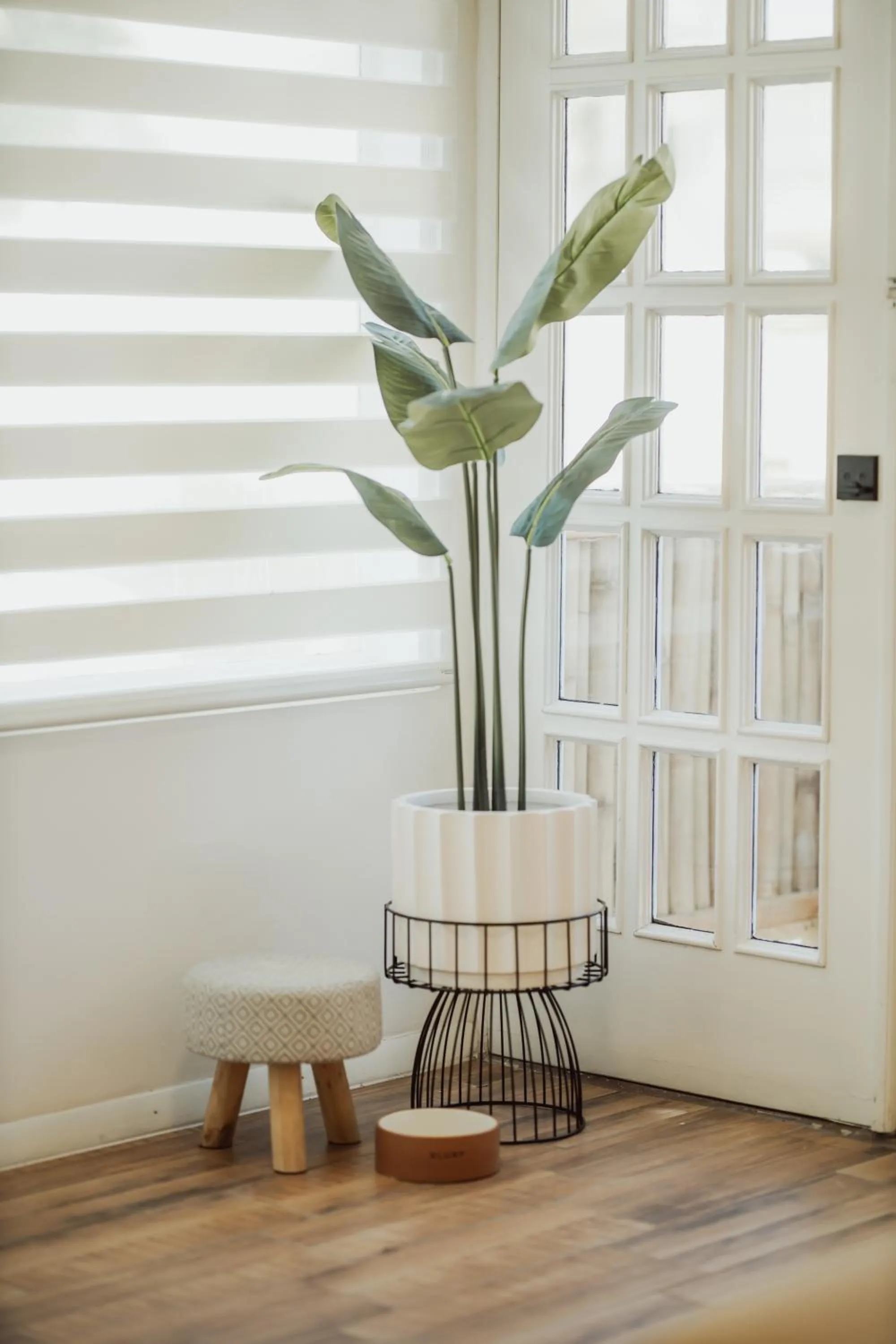 Blvd Sunset, a spot to relax