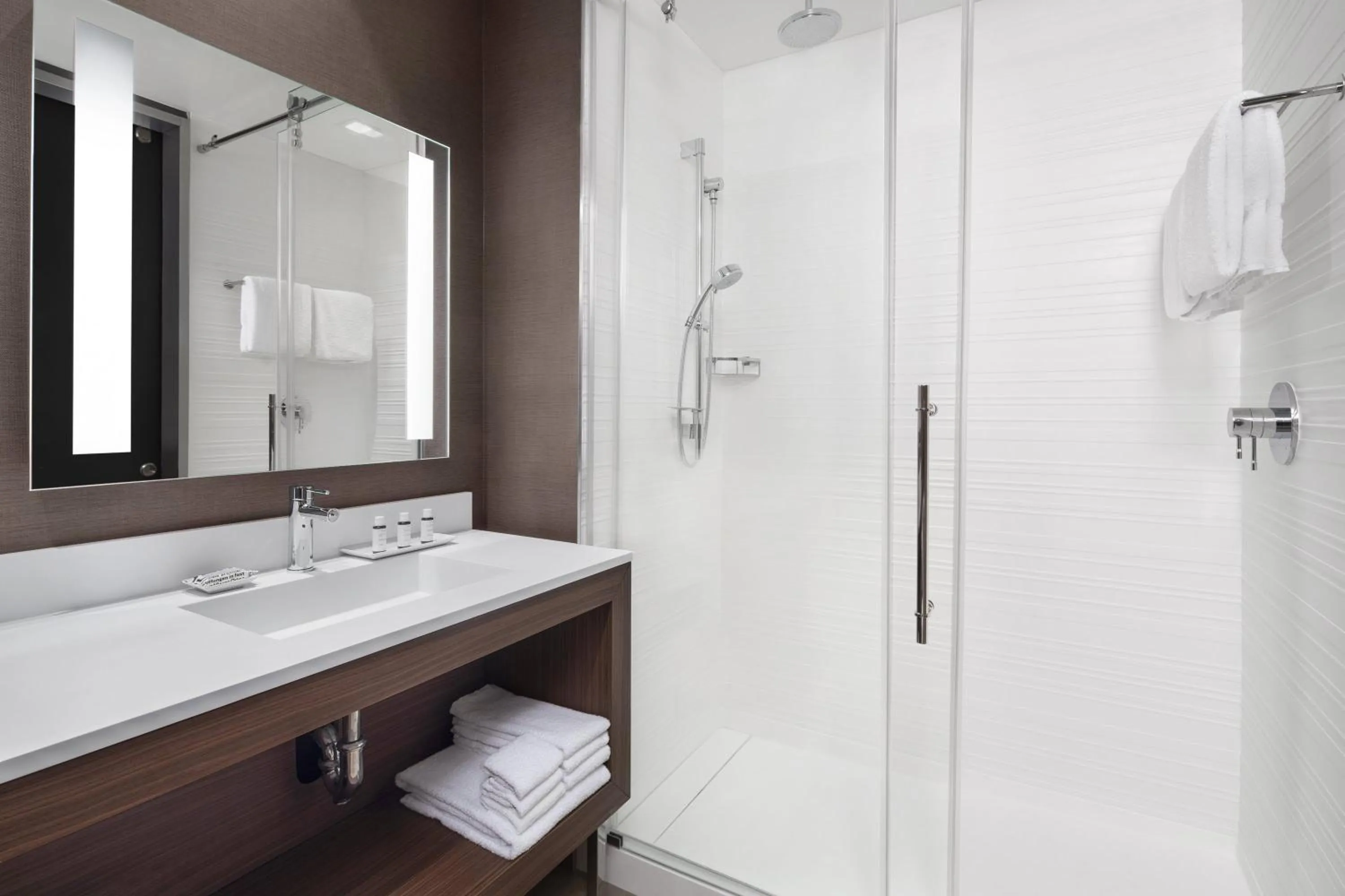 Bathroom in AC Hotel by Marriott Lansing University Area