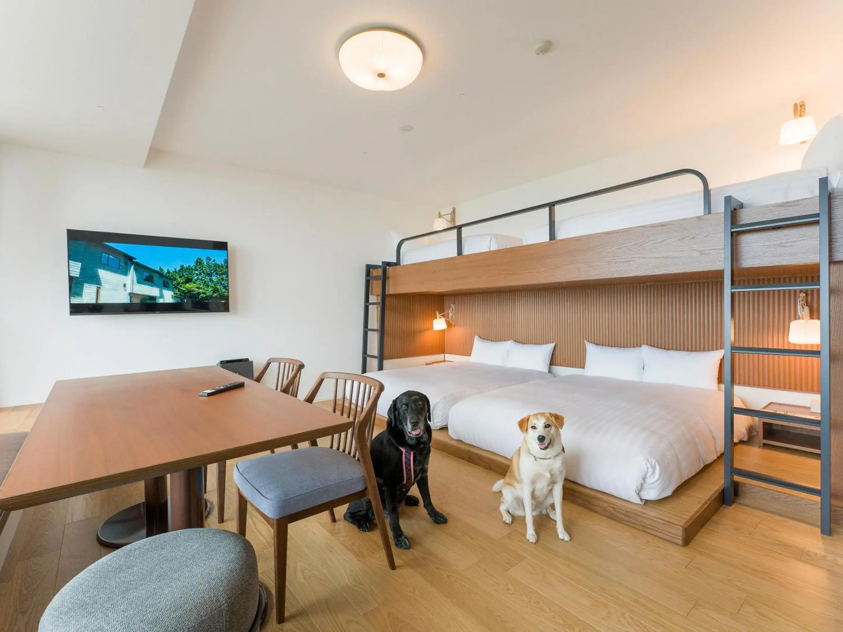 Family Room, Dog friendly, 1off-site parking lot in Rakuten STAY Atami Family Room, Dog friendly, 1off-site parking lot in Rakuten STAY Atami